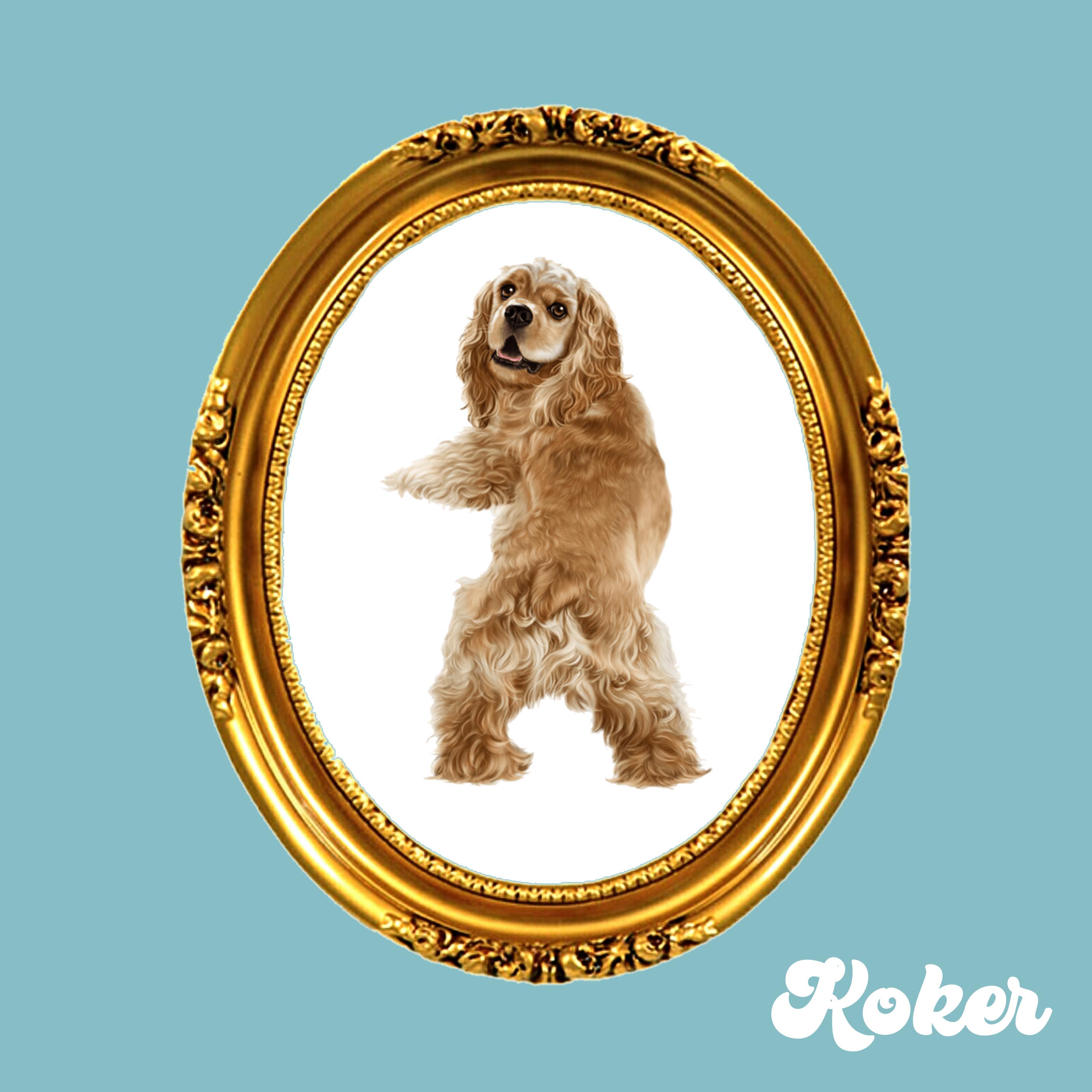 Постер альбома Koker