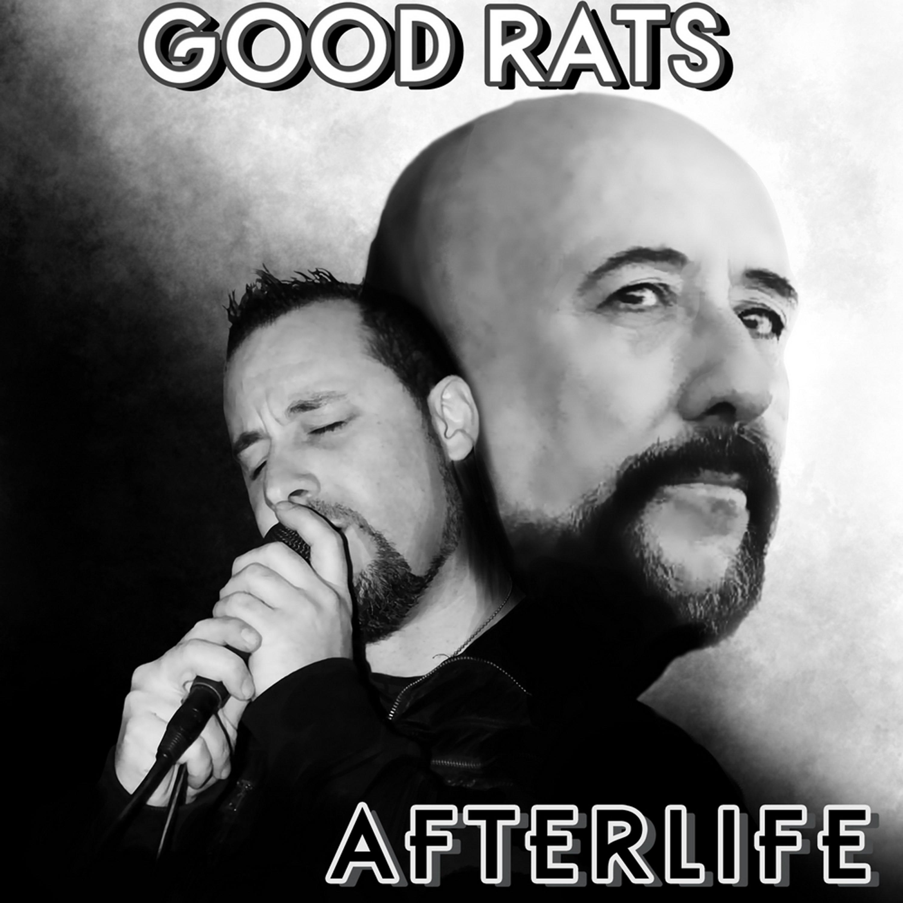 Постер альбома Afterlife