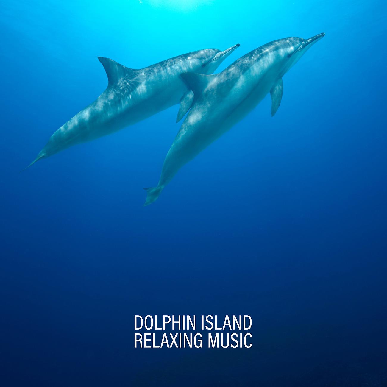 Постер альбома Dolphin Island