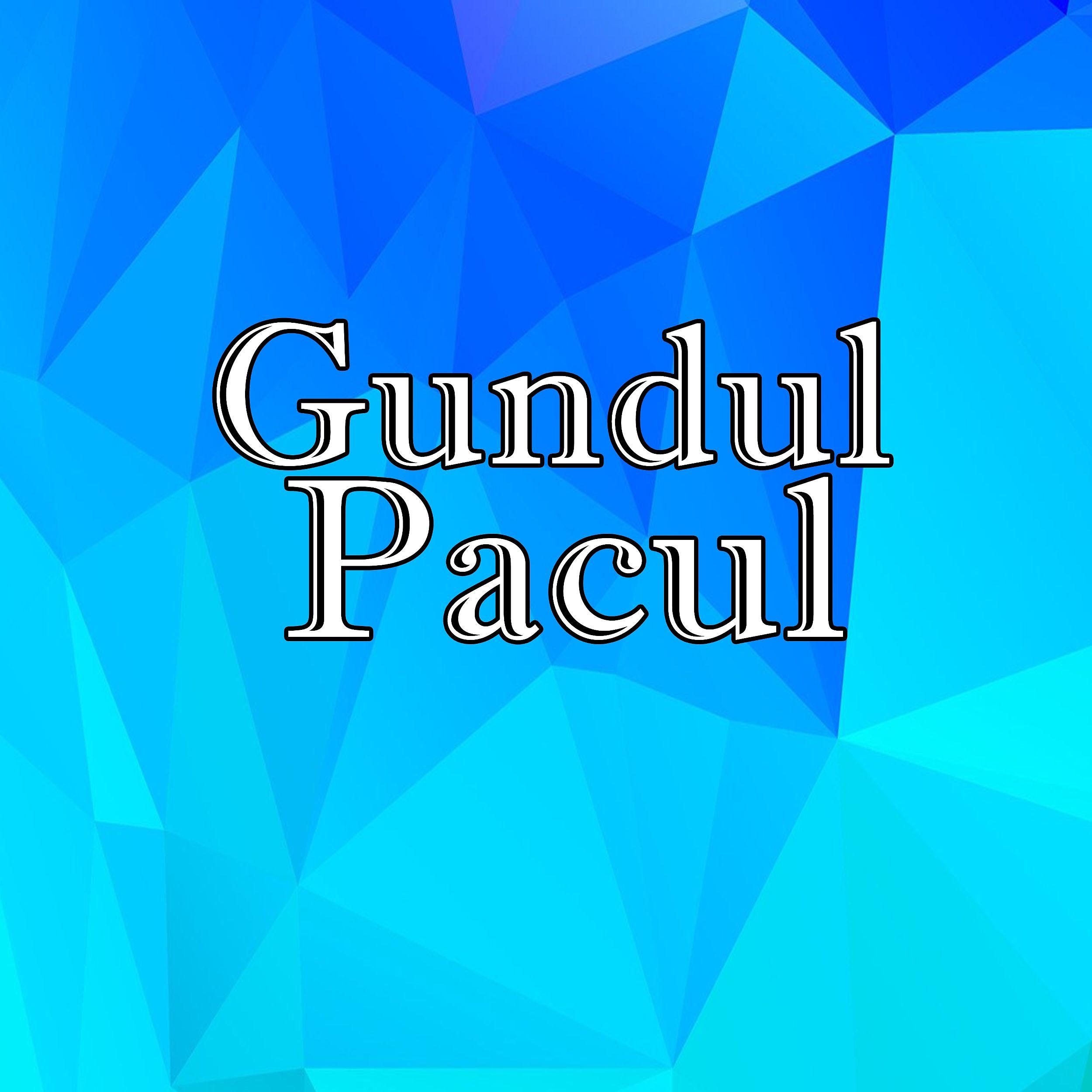 Постер альбома Gundul Pacul