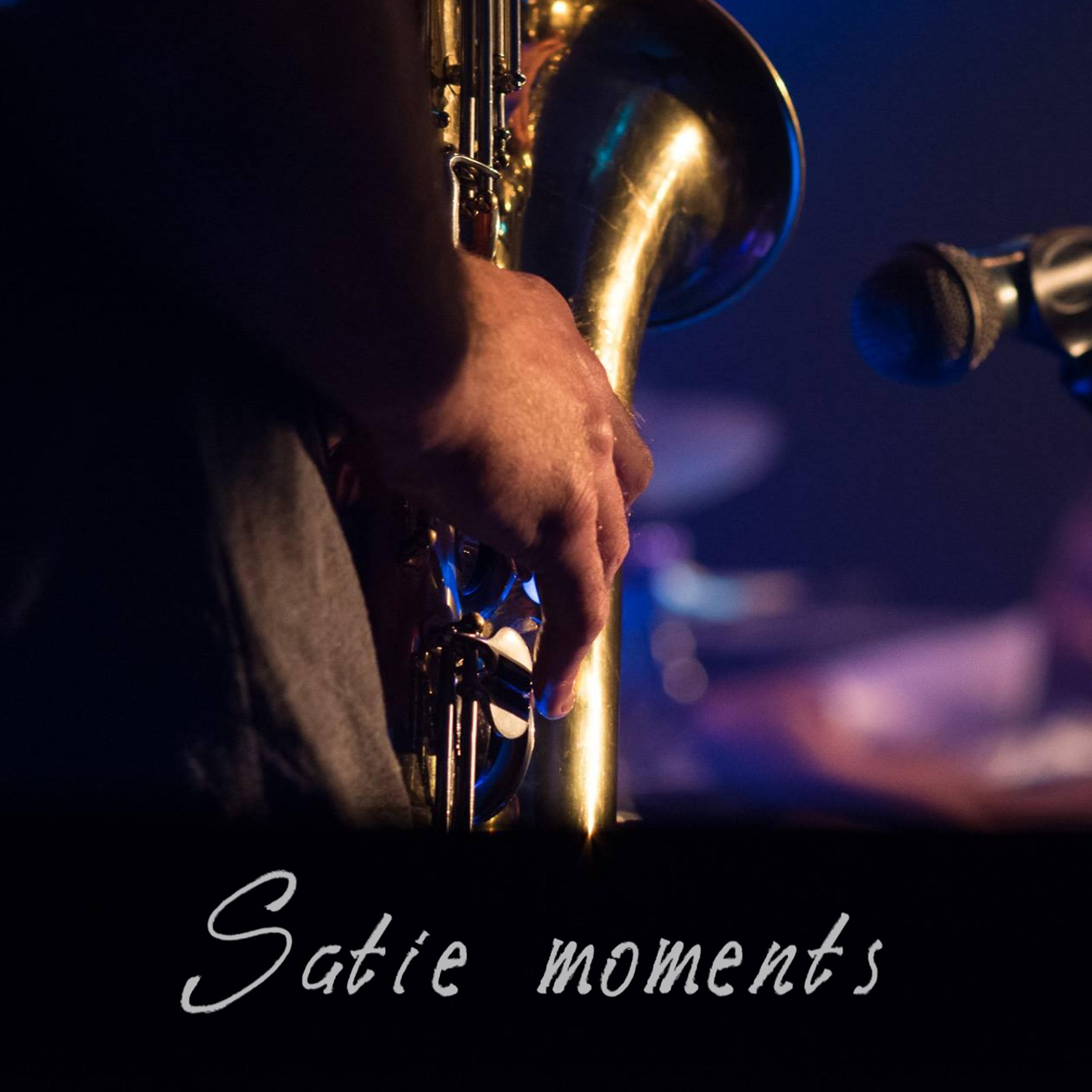 Постер альбома Satie Moments