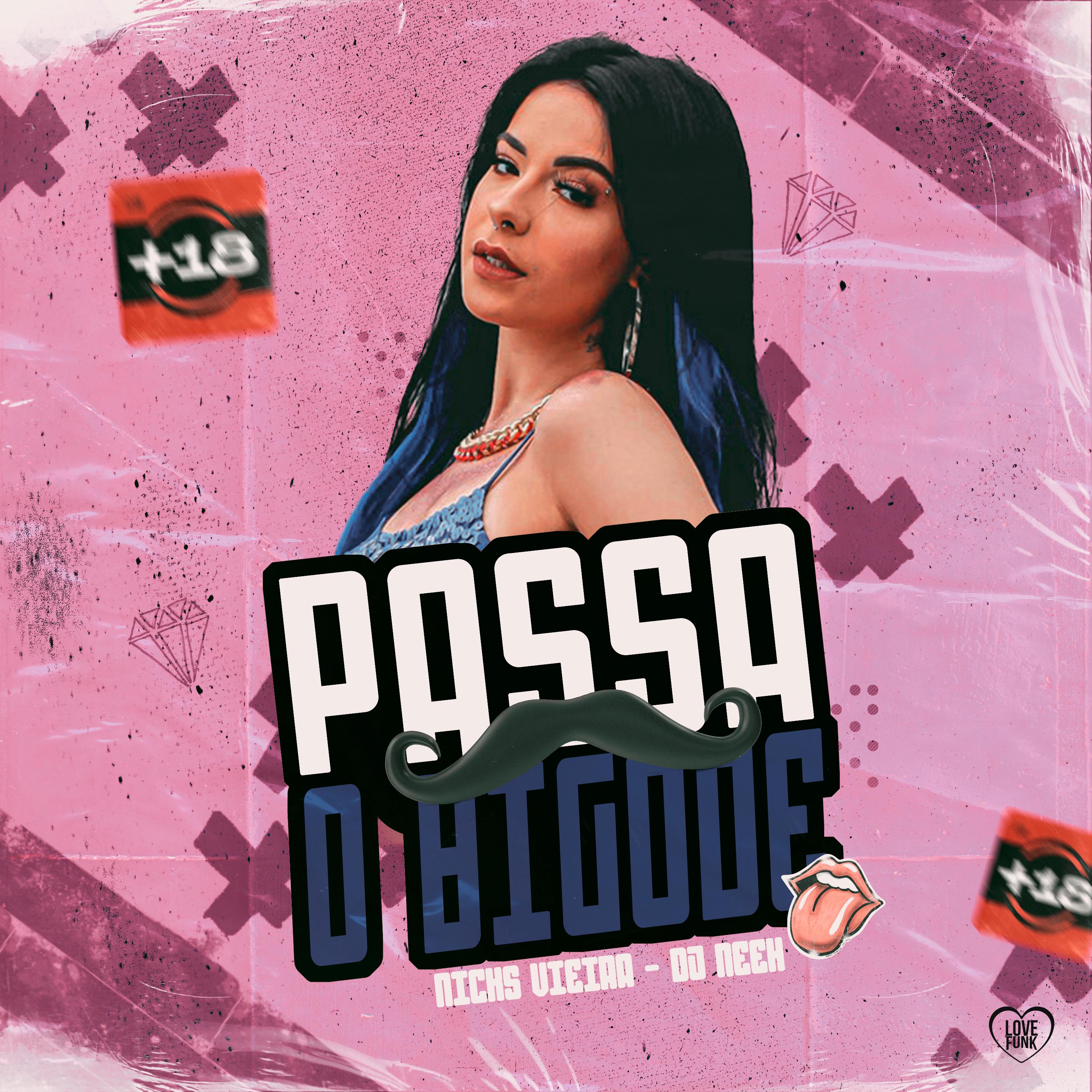 Постер альбома Passa o Bigode