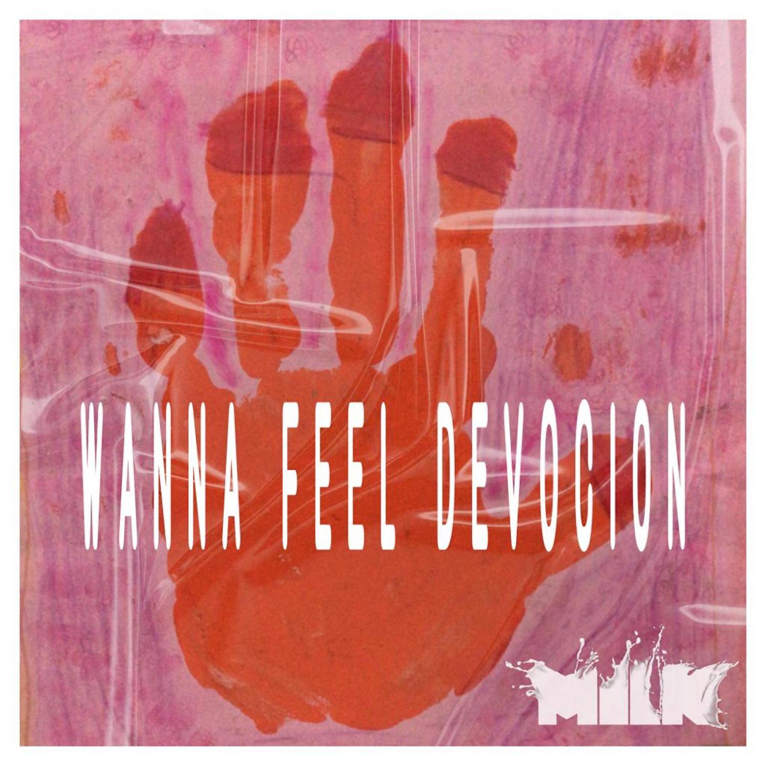 Постер альбома Wanna Feel Devocion