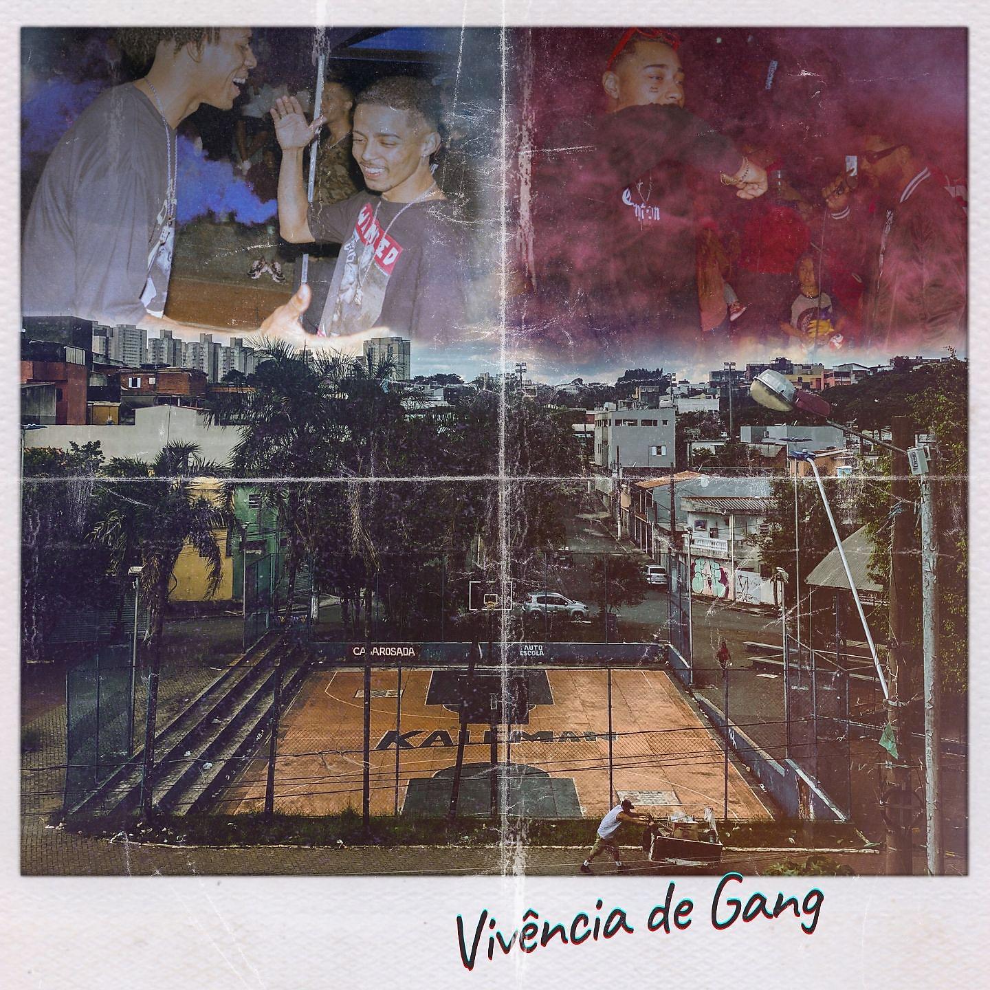 Постер альбома Vivência de Gang