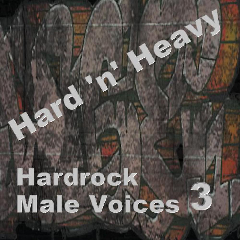 Постер альбома Hardrock Male Voices 3