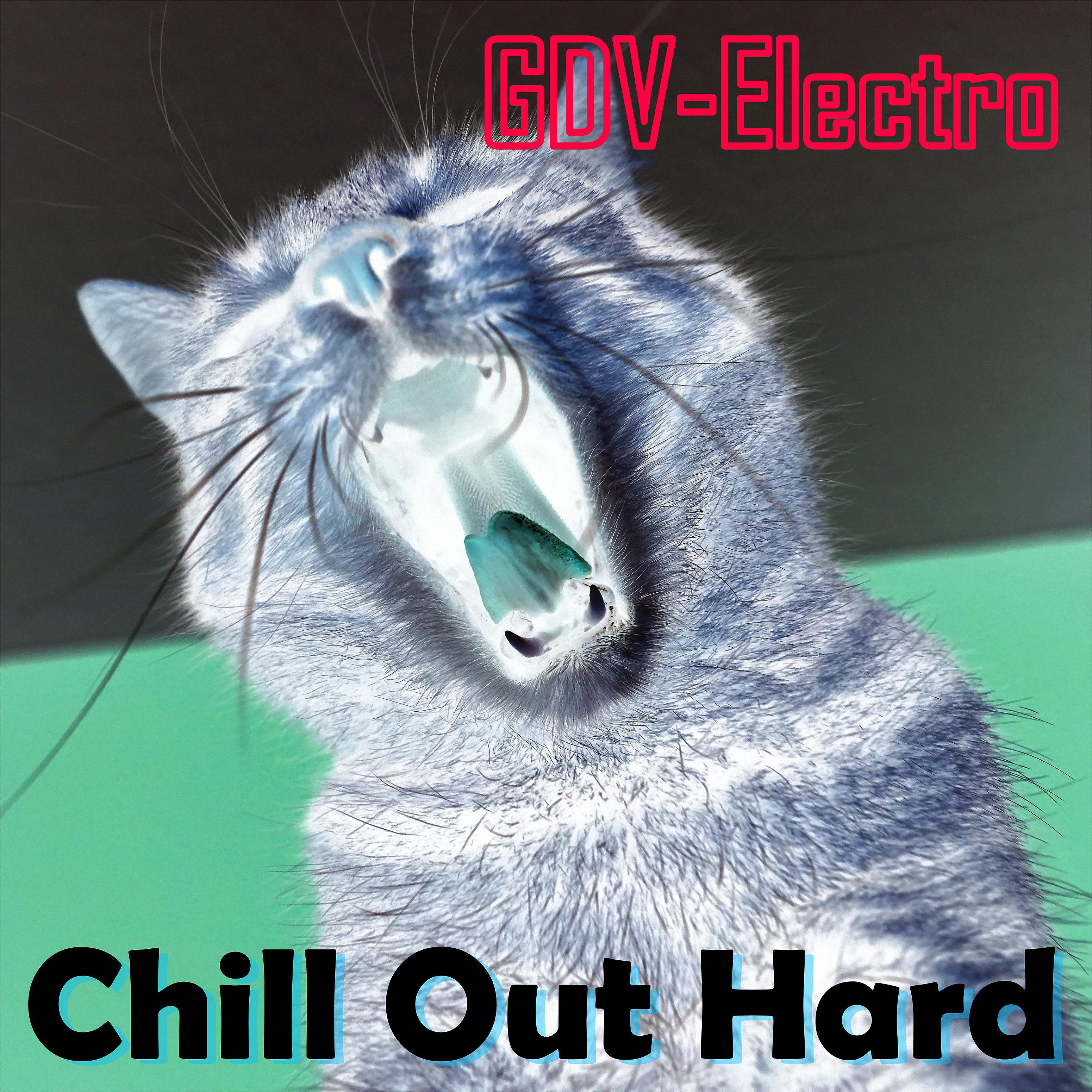 Постер альбома Chill Out Hard