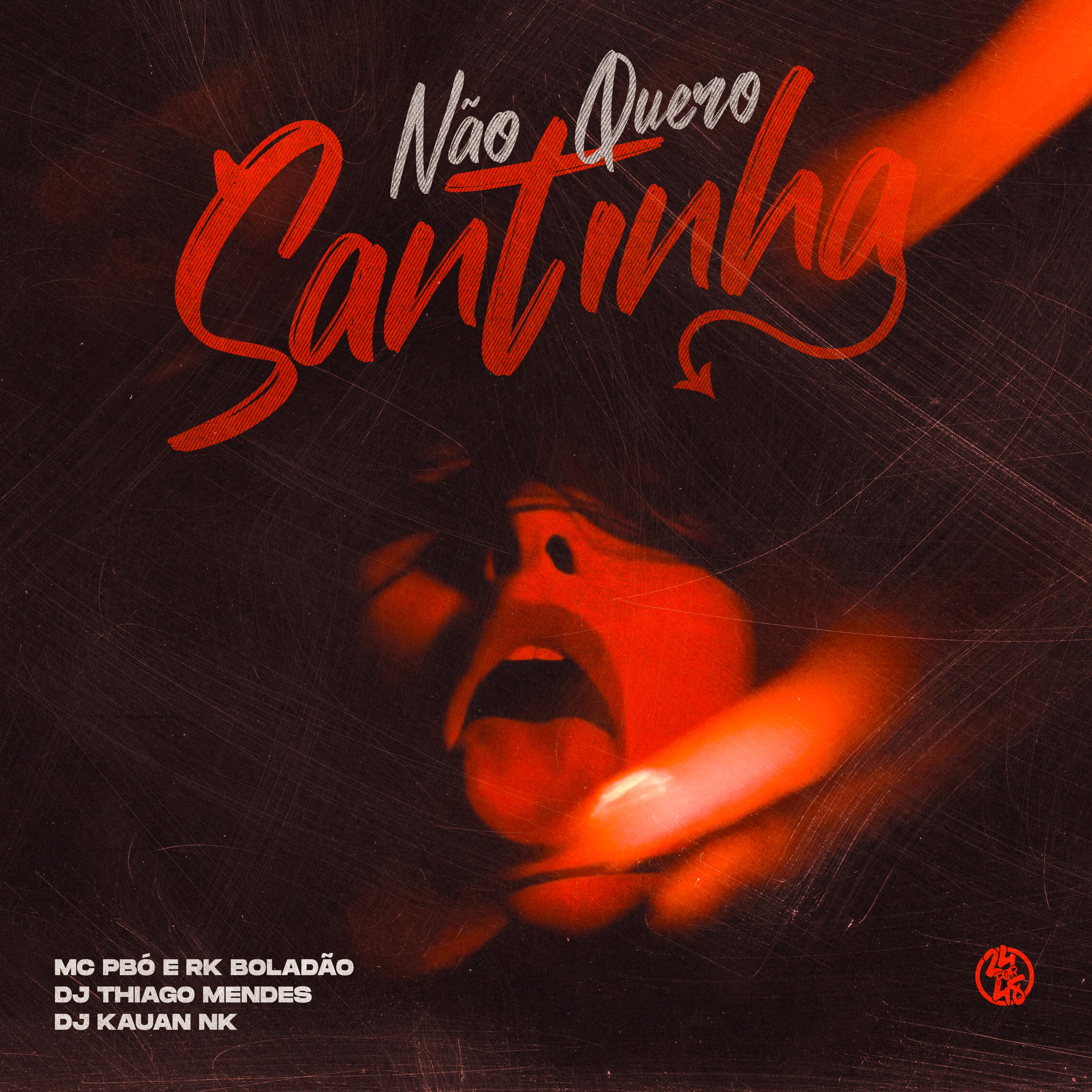 Постер альбома Não Quero Santinha