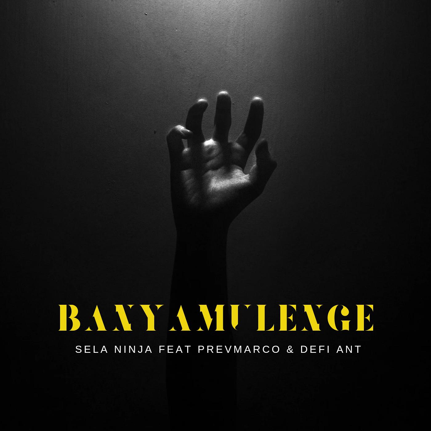 Постер альбома Banyamulenge