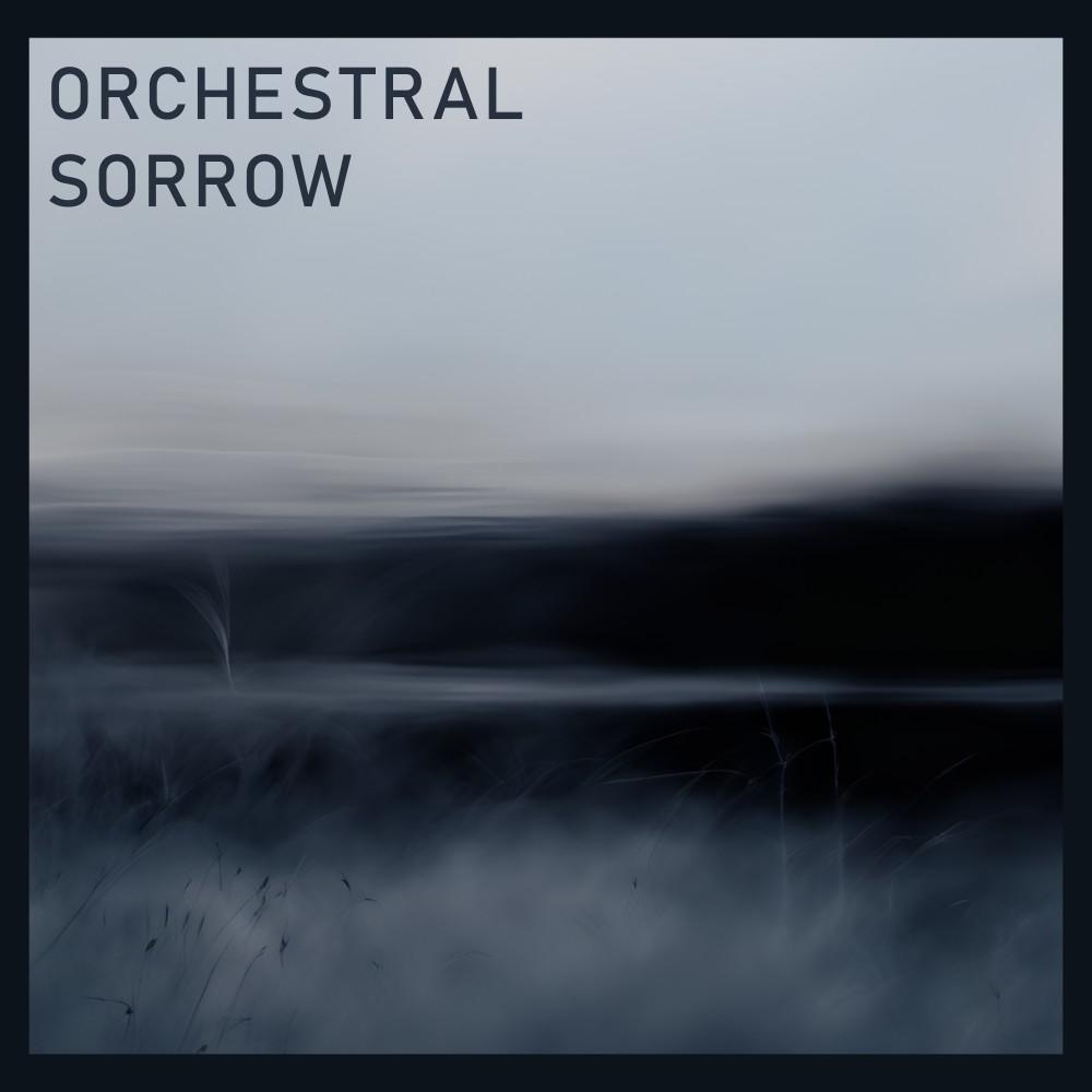 Постер альбома Orchestral Sorrow