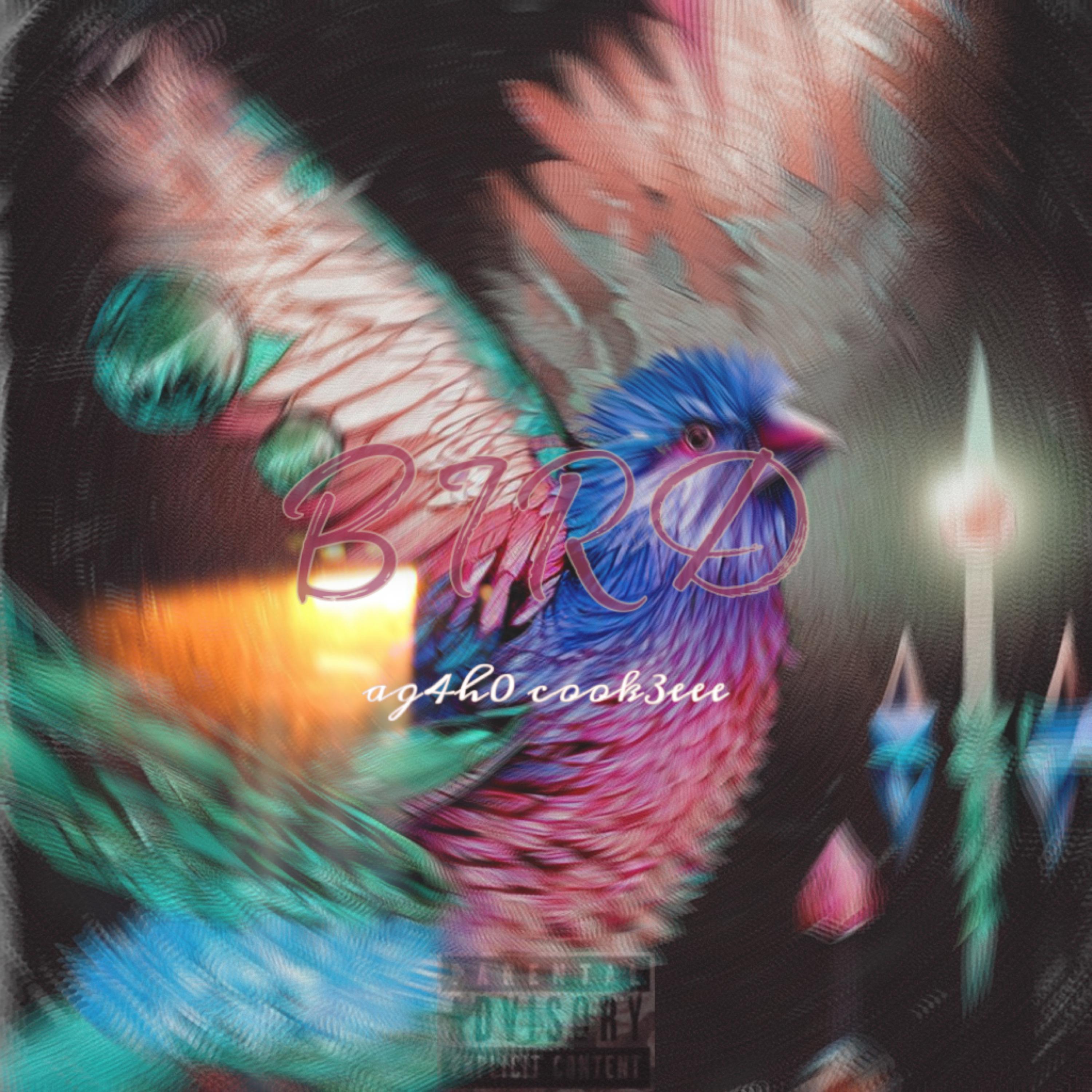 Постер альбома Bird (feat. Cook3eee)