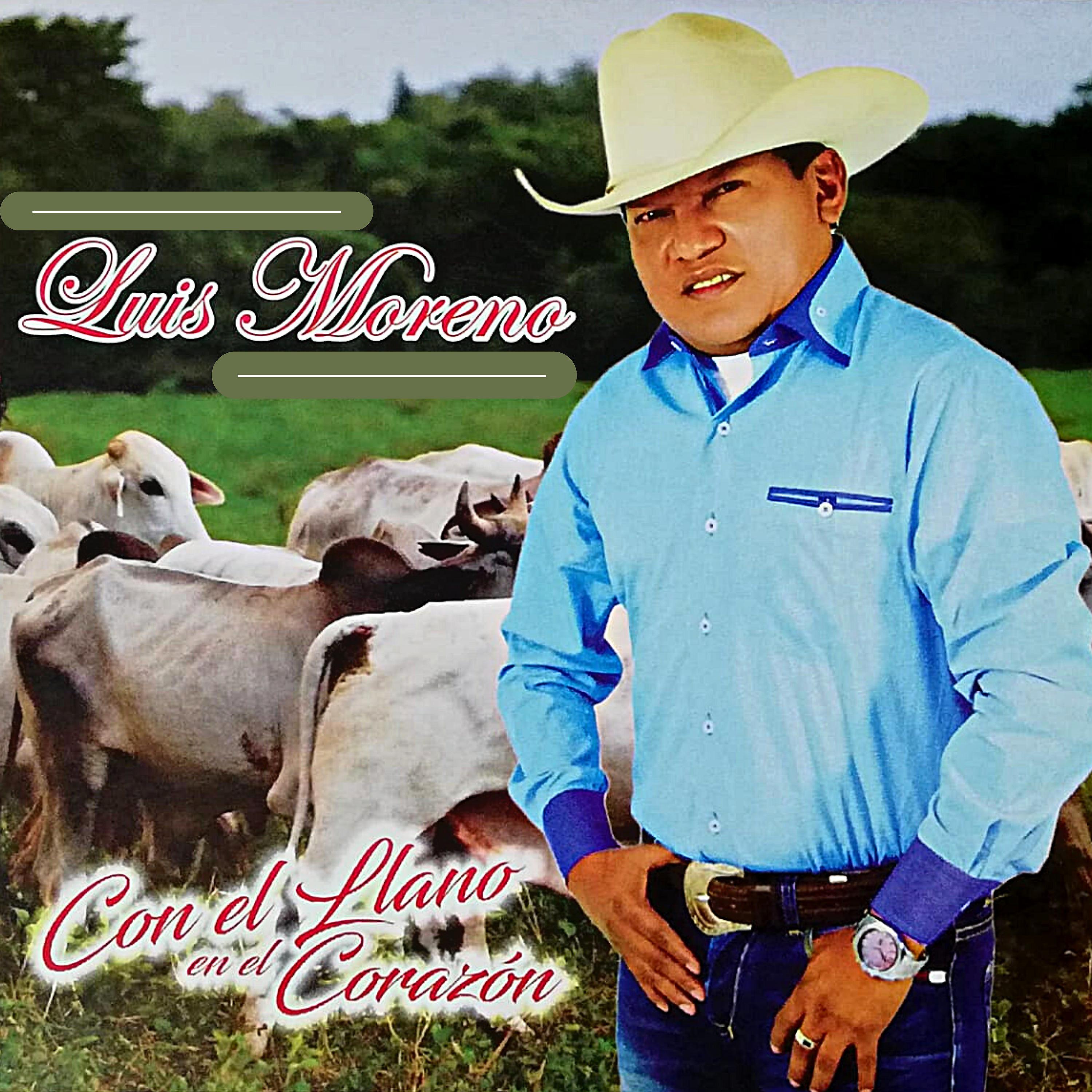 Постер альбома Con el Llano en el Corazón