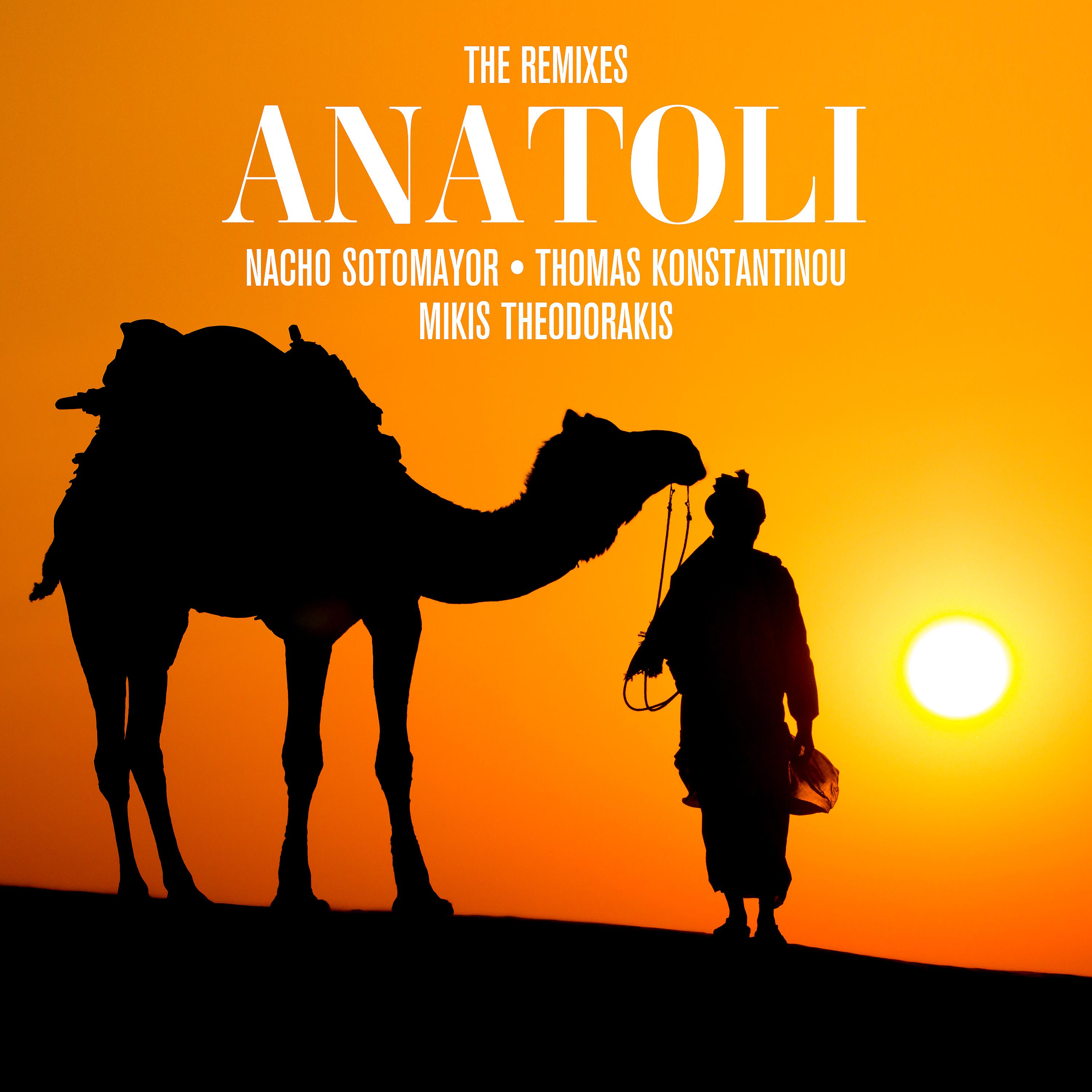 Постер альбома Anatoli (The Remixes)