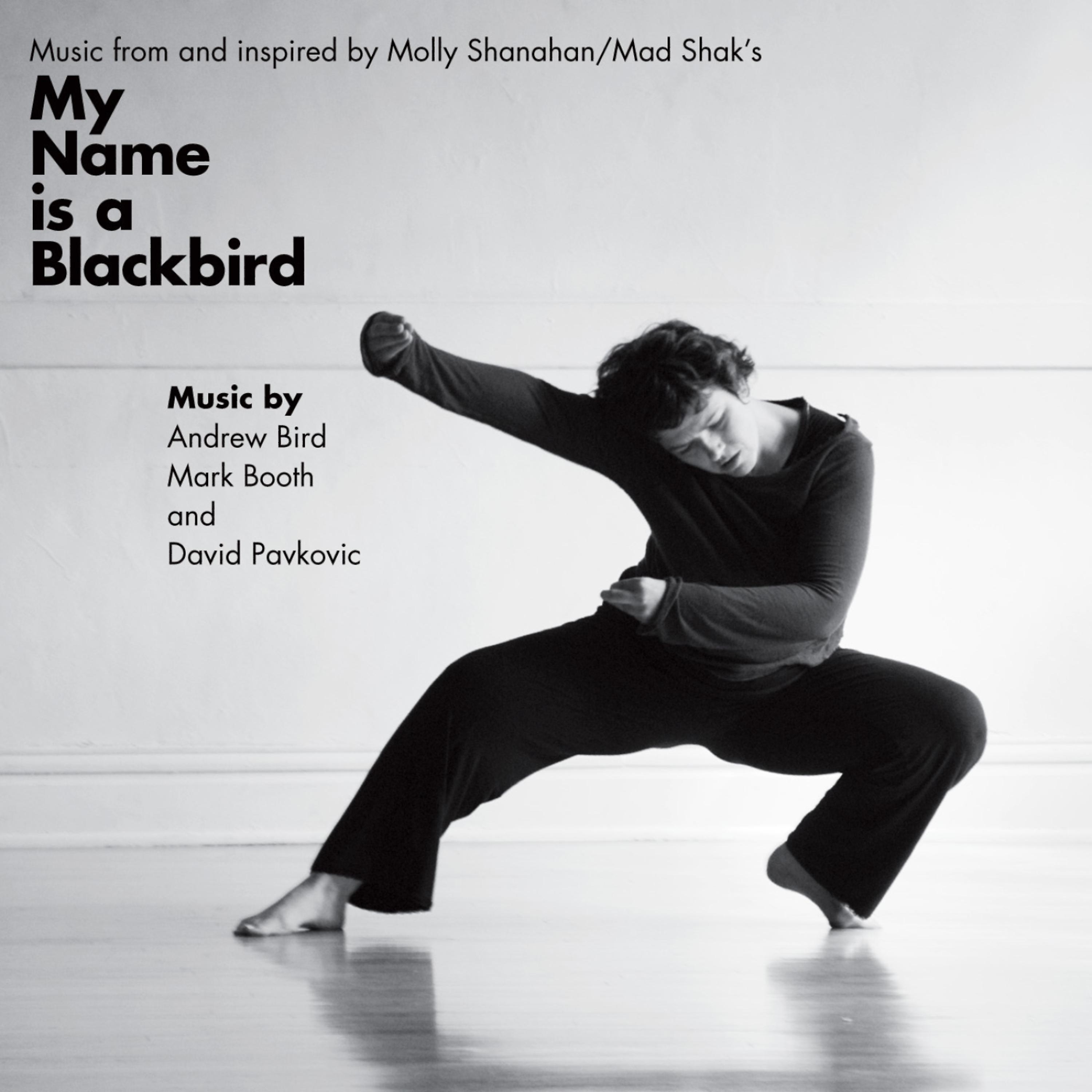 Постер альбома Music from and inspired by My Name is a Blackbird