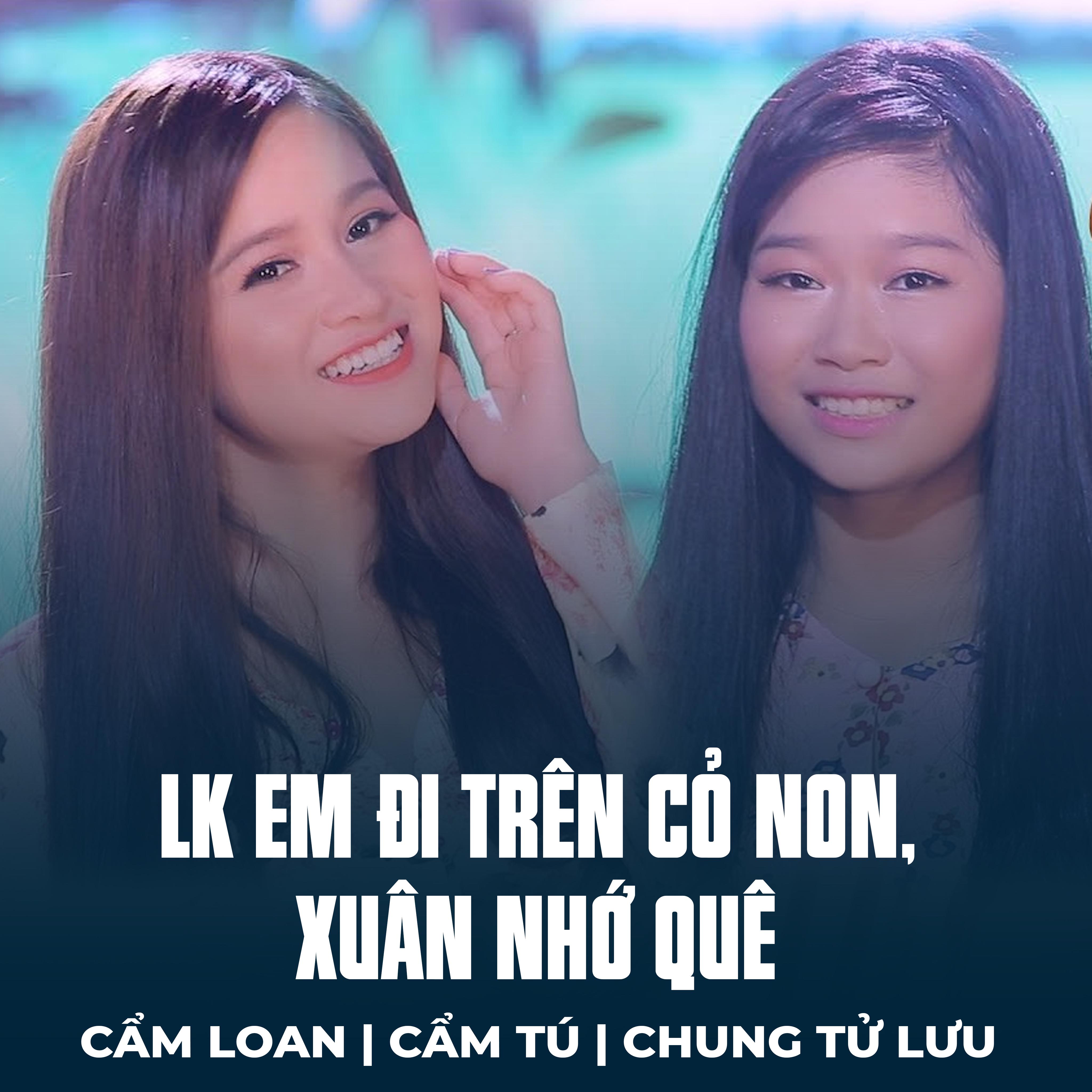 Постер альбома LK Em Đi Trên Cỏ Non, Xuân Nhớ Quê