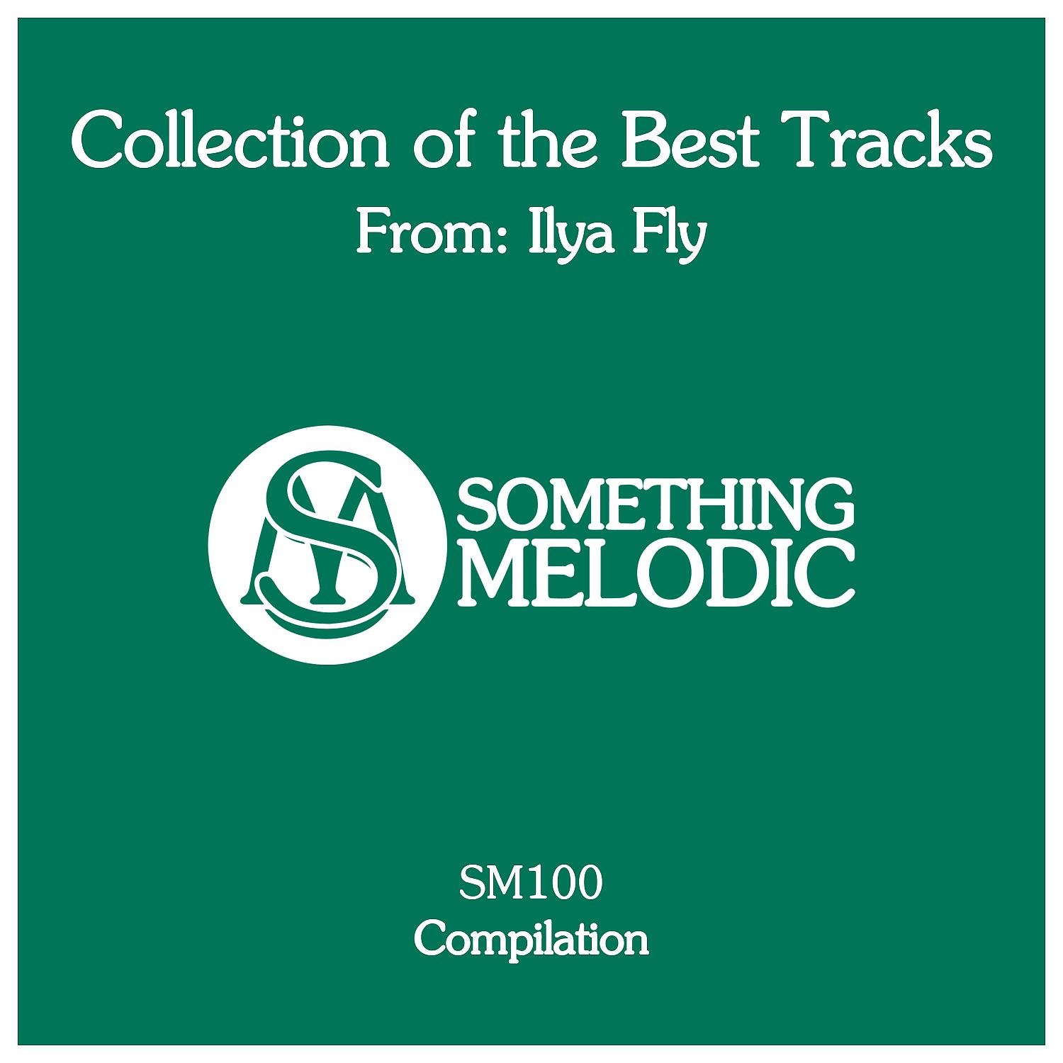 Постер альбома Collection of the Best Tracks From: Ilya Fly