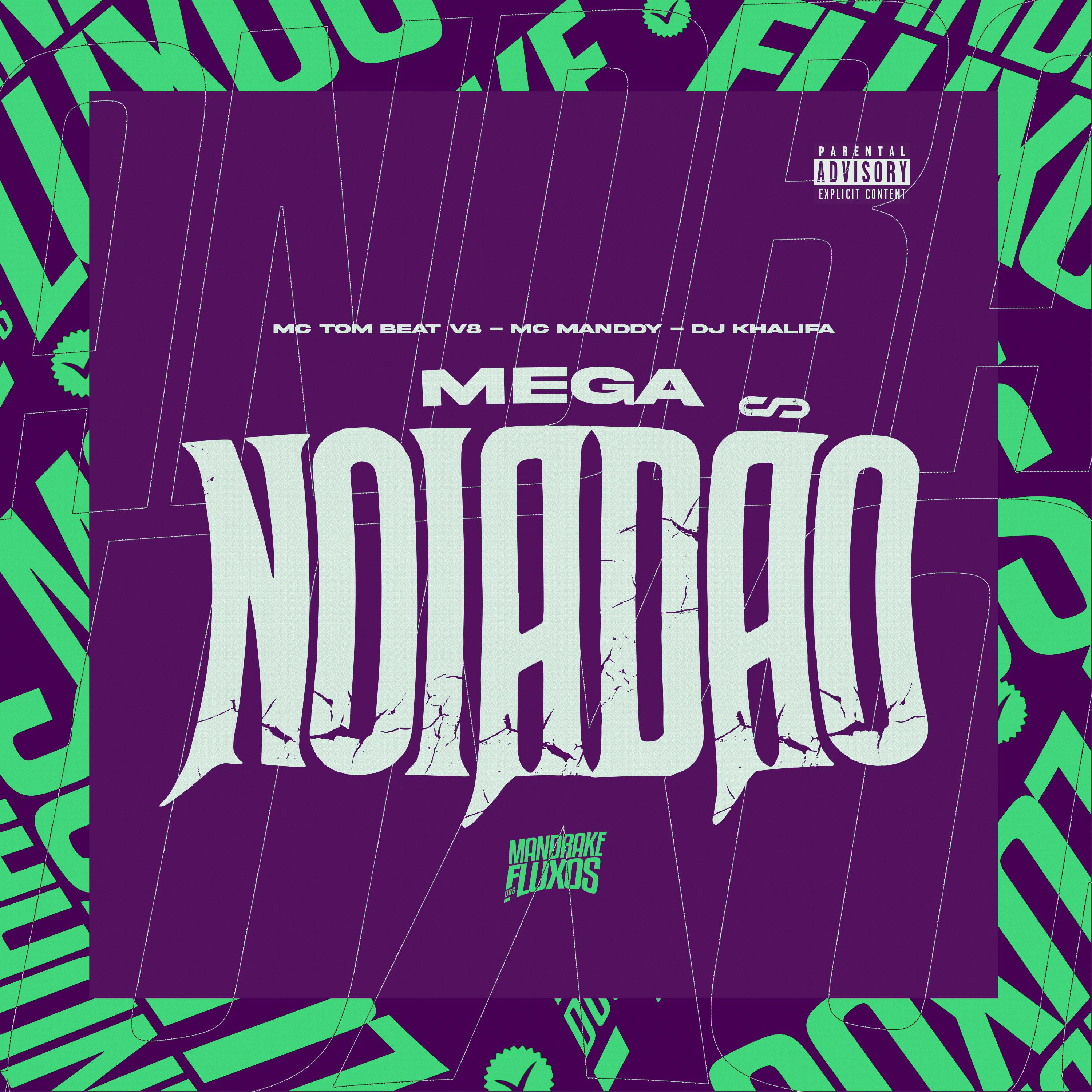 Постер альбома Mega Noiadão