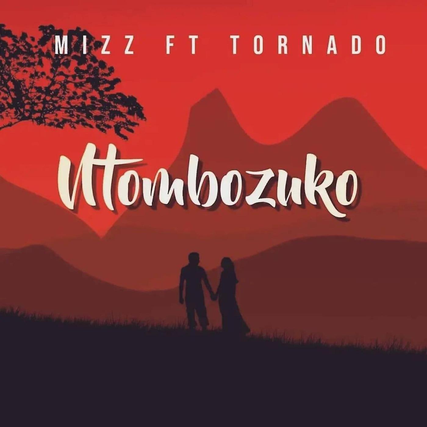 Постер альбома Ntombozuko