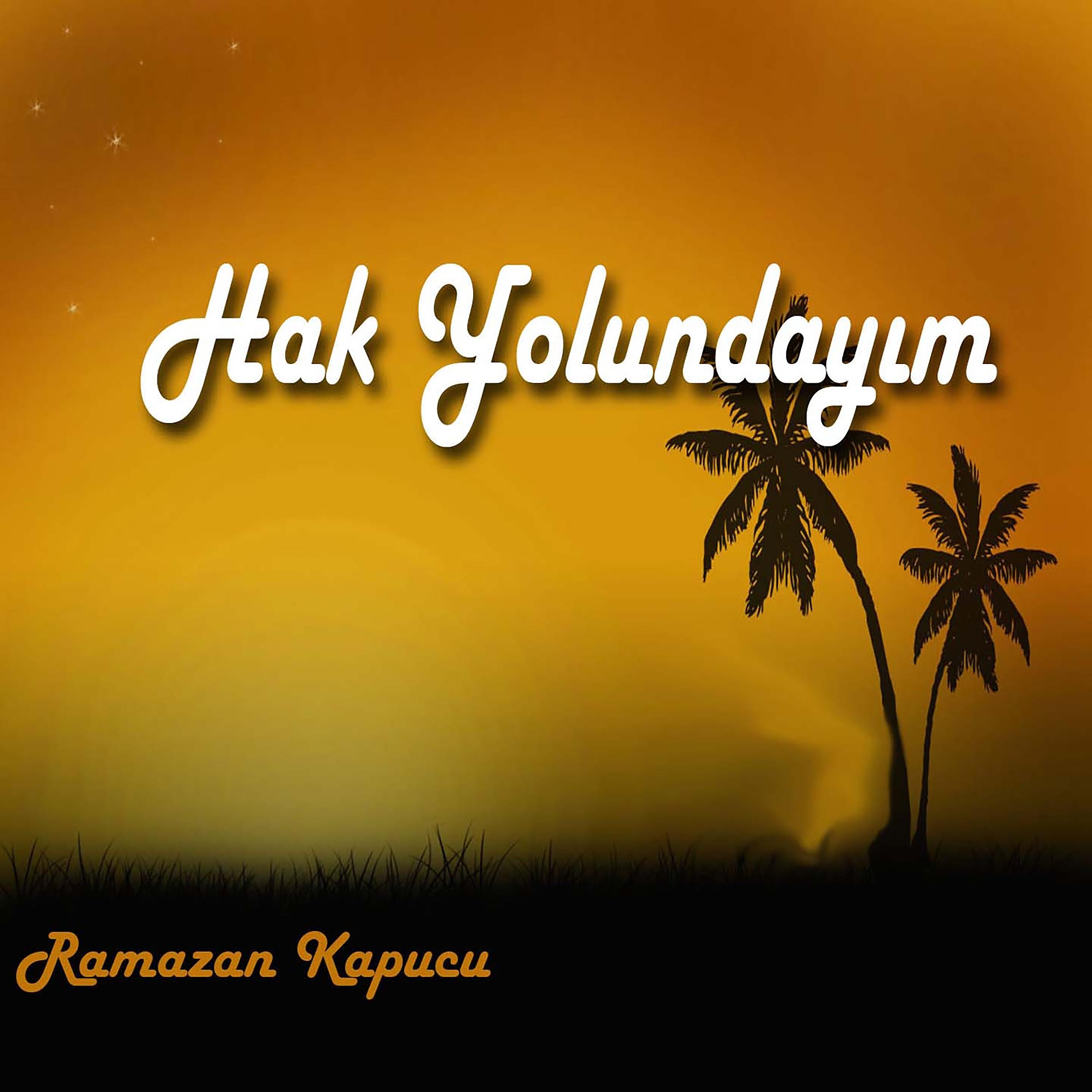 Постер альбома Hak Yolundayım 