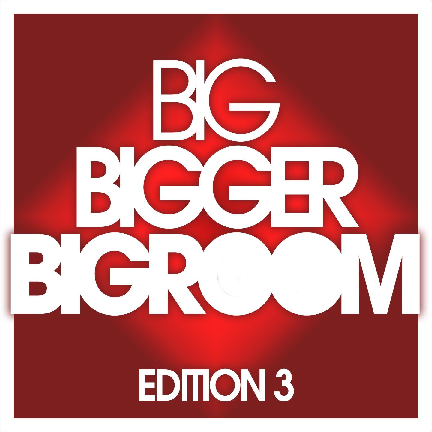 Постер альбома BIG, BIGGER, BIGROOM - Edition 3