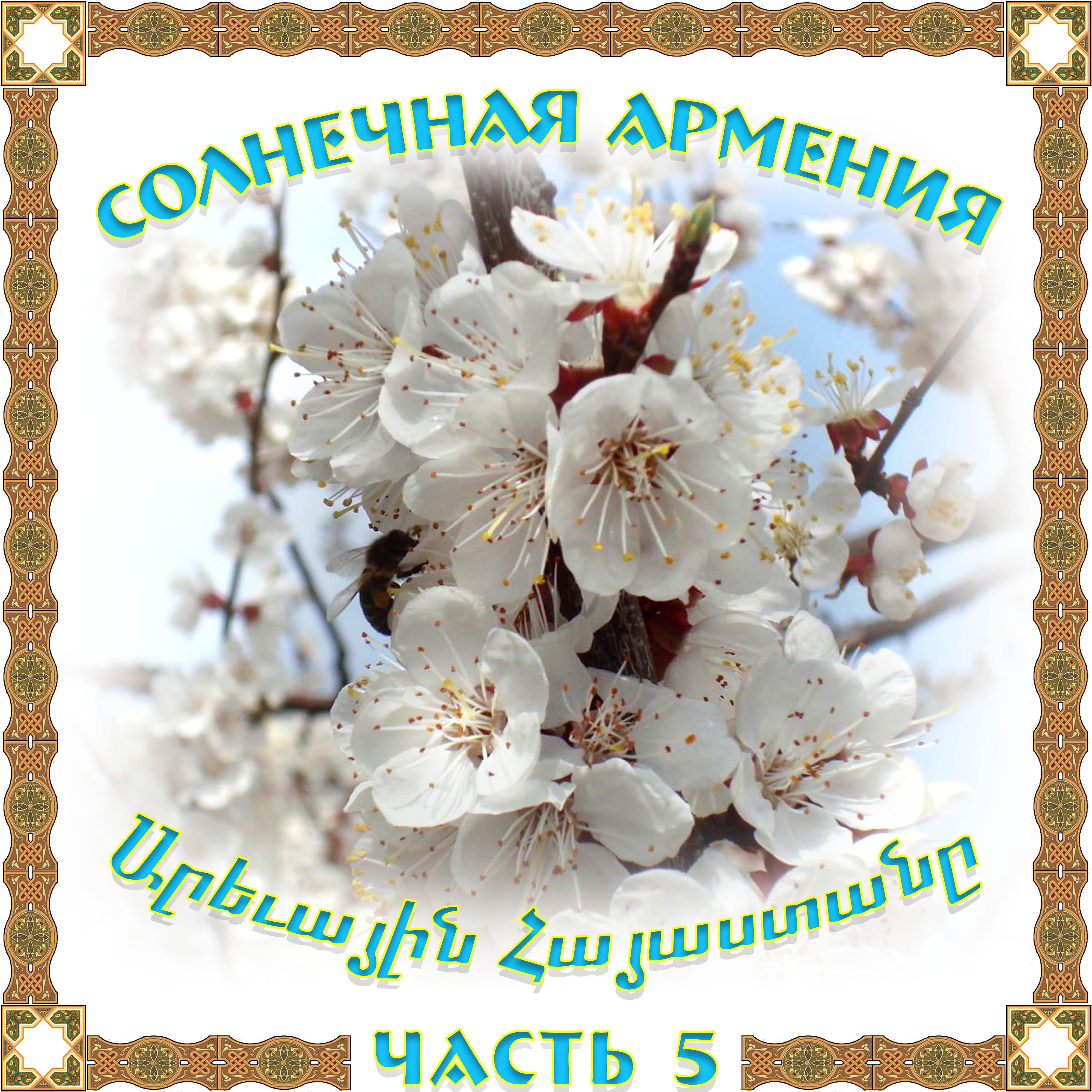 Постер альбома Солнечная Армения 5