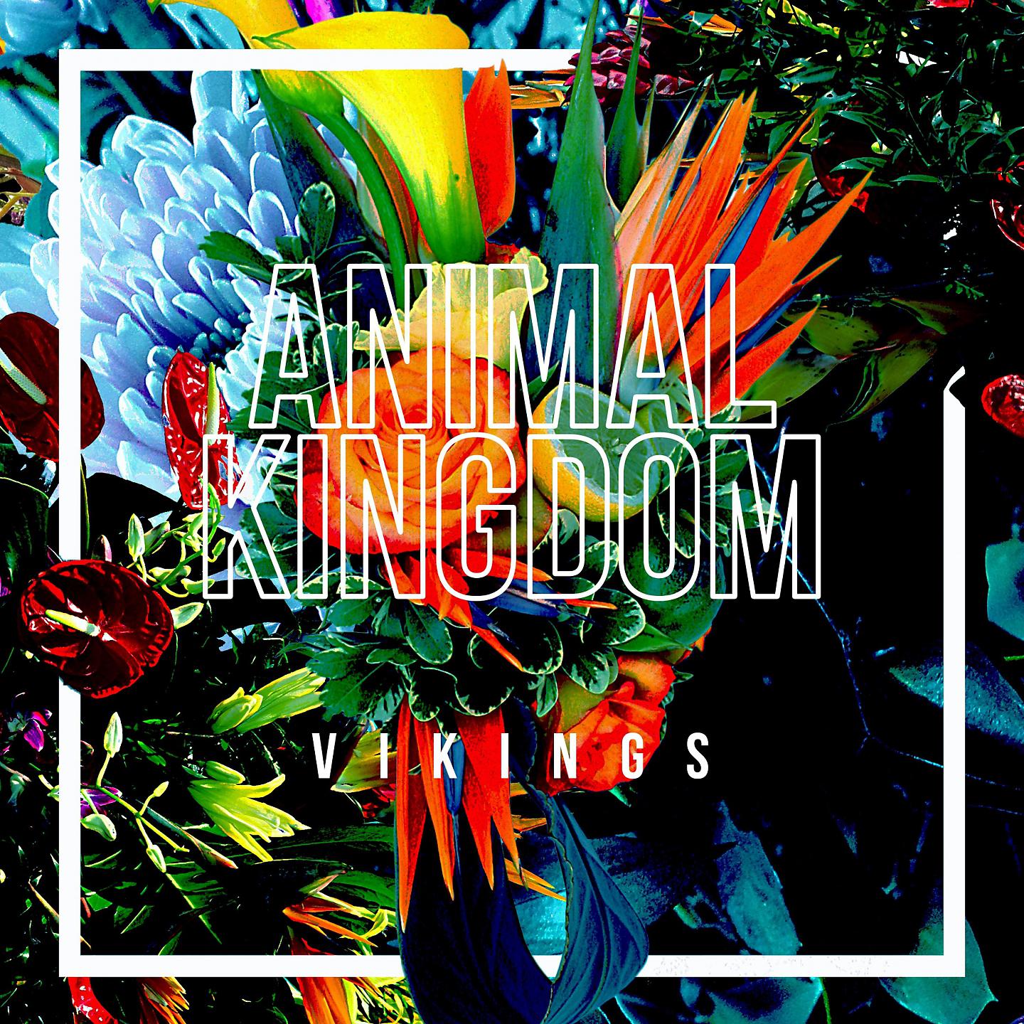 Постер альбома Animal Kingdom
