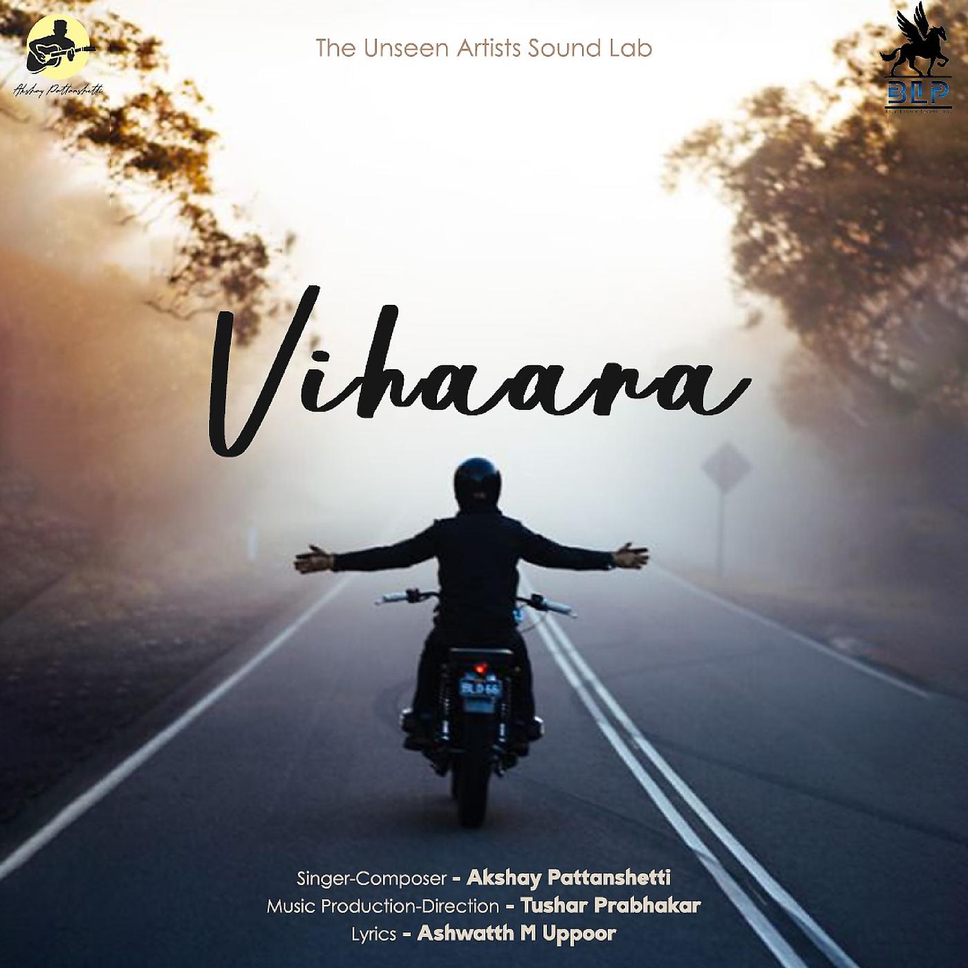 Постер альбома Vihaara