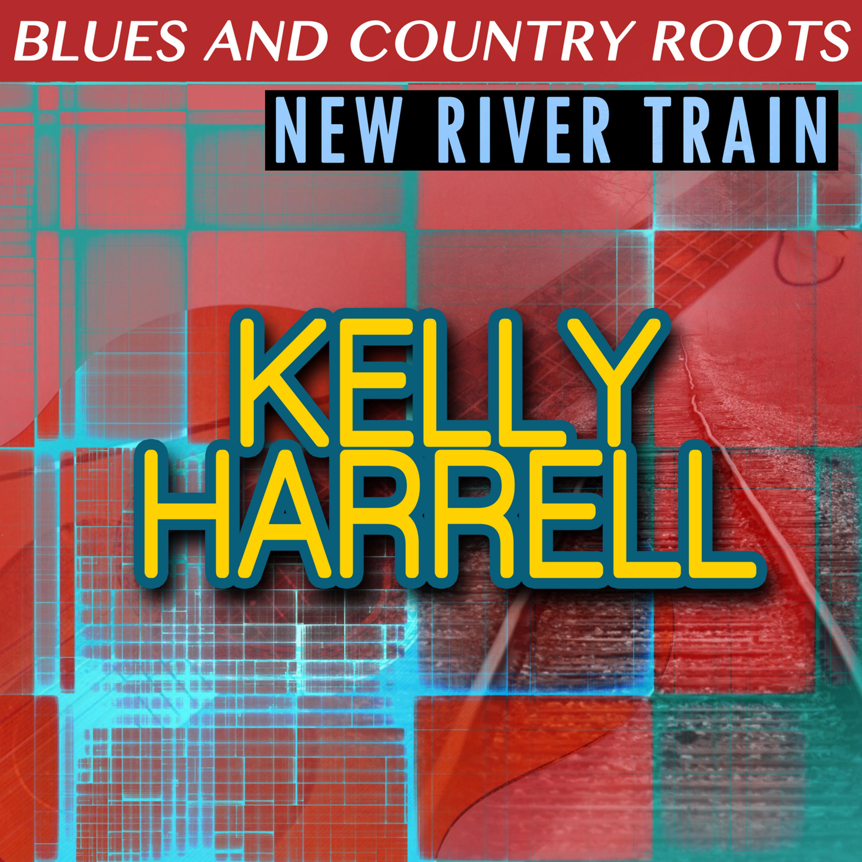 Постер альбома New River Train: Blues and Country Roots