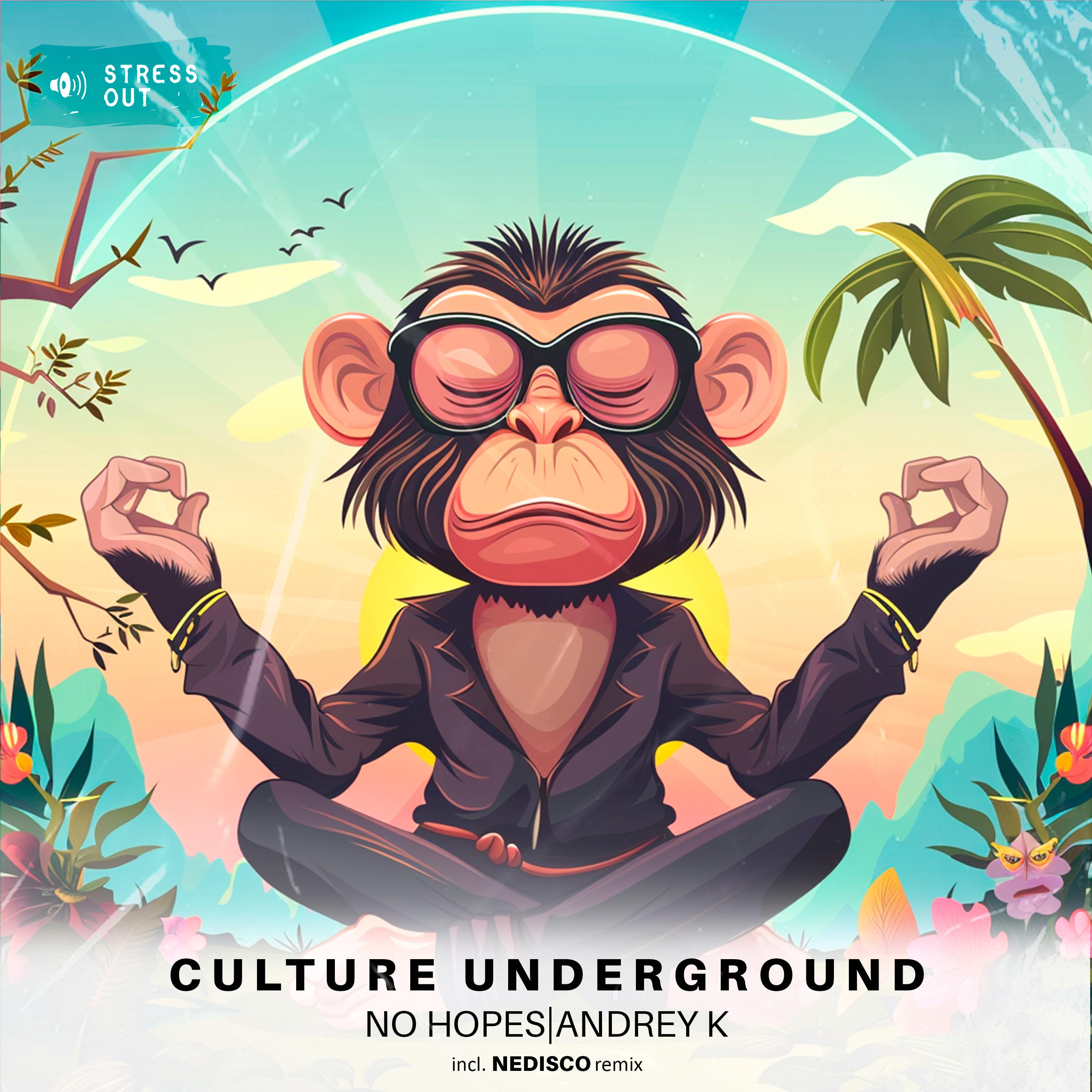 Постер альбома Culture Underground