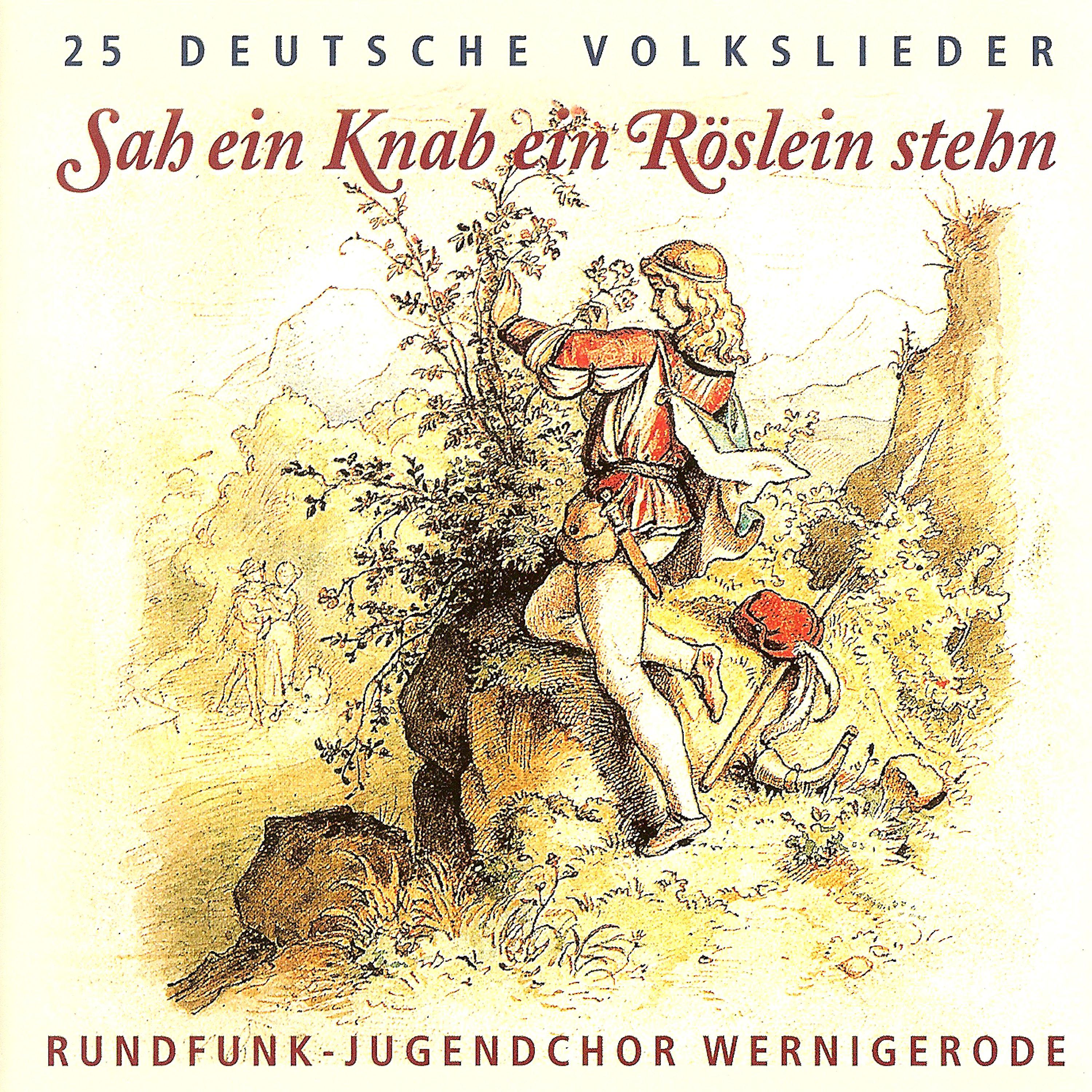 Постер альбома Sah ein Knab ein Röslein stehn