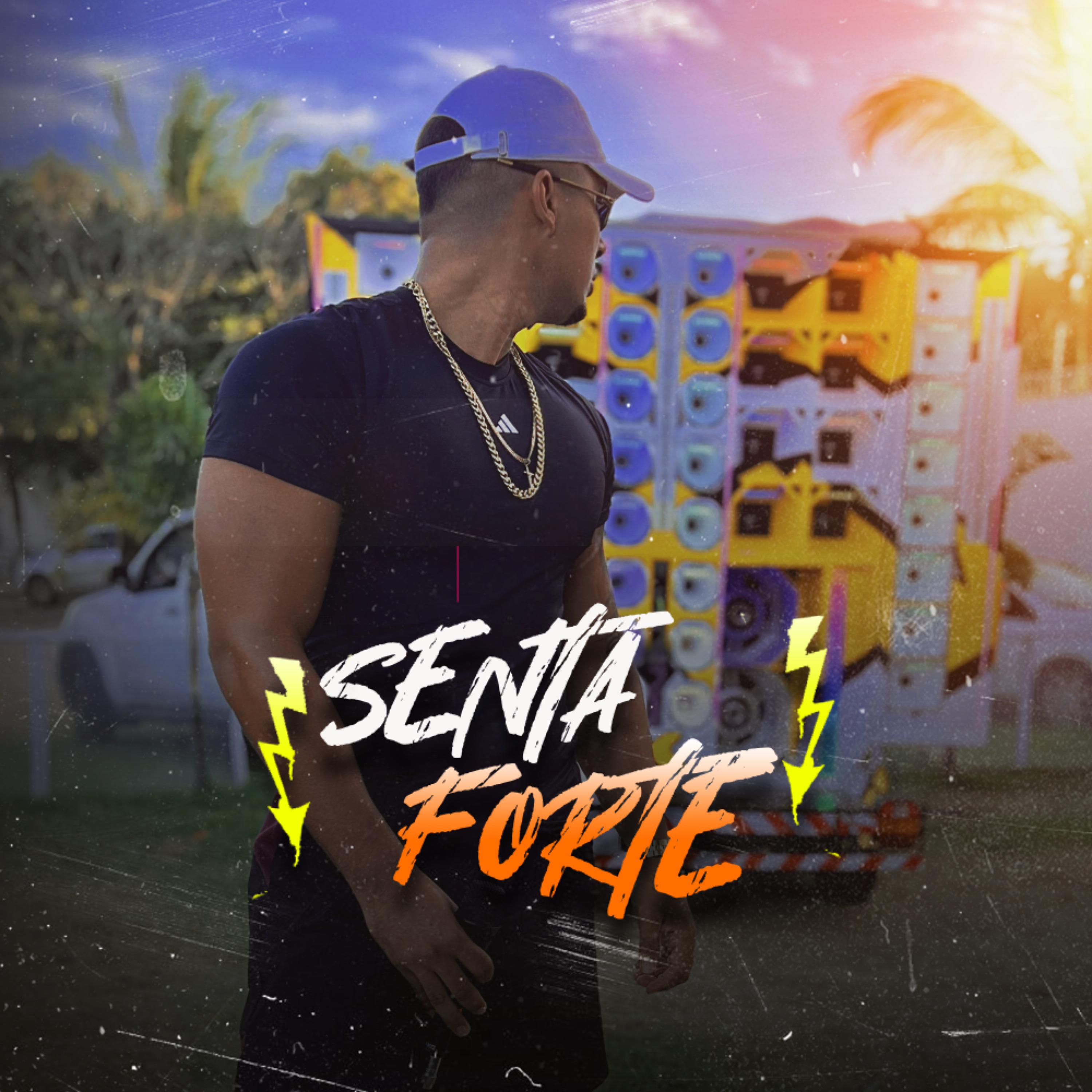 Постер альбома Senta Forte
