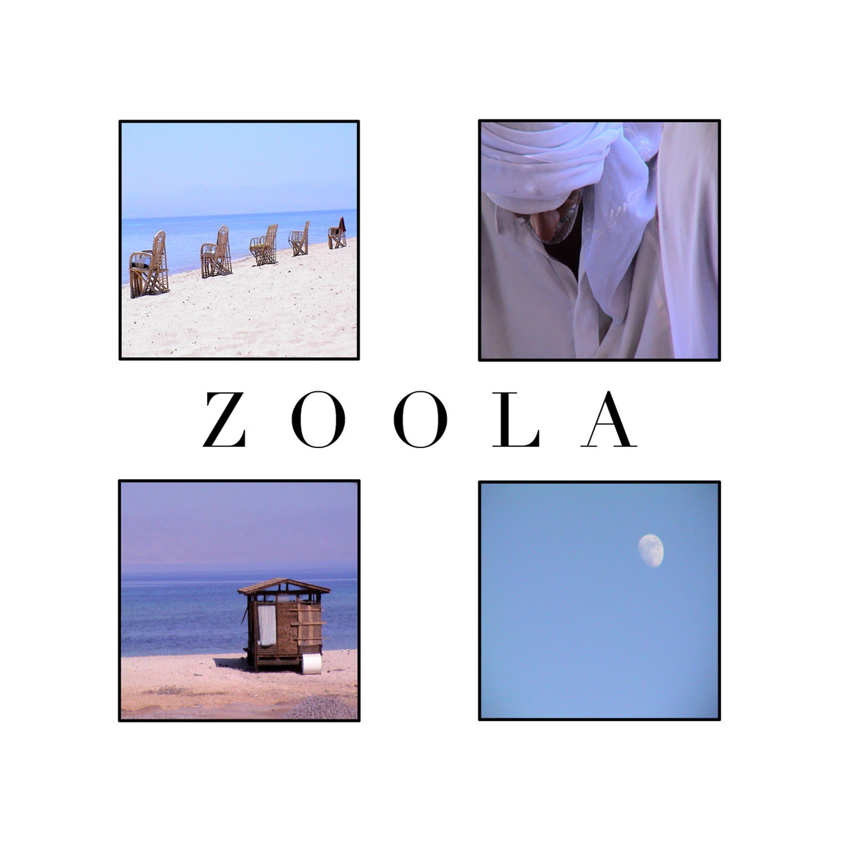Постер альбома Zoola (Compiled by DJ Choopie)