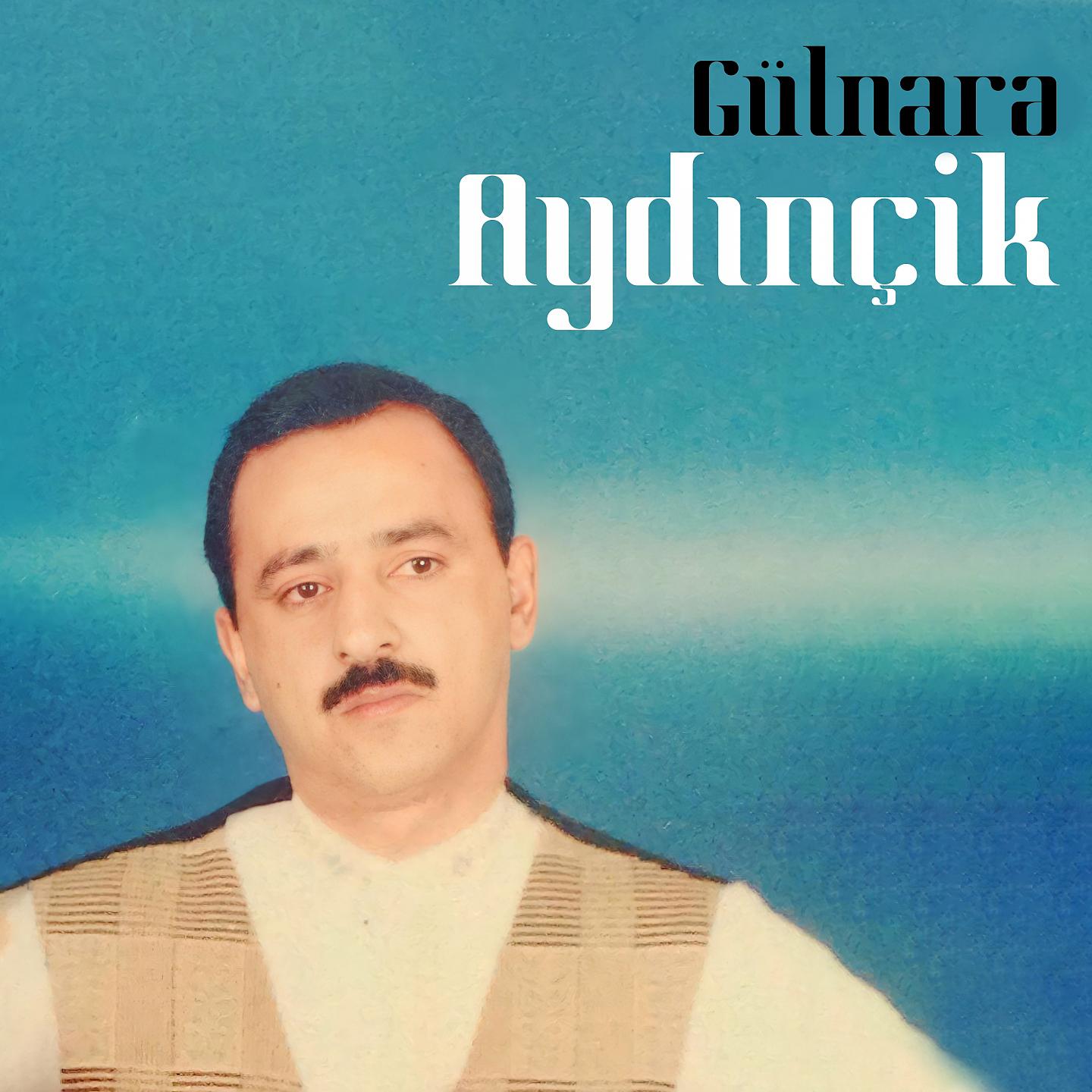 Постер альбома Gülnarə