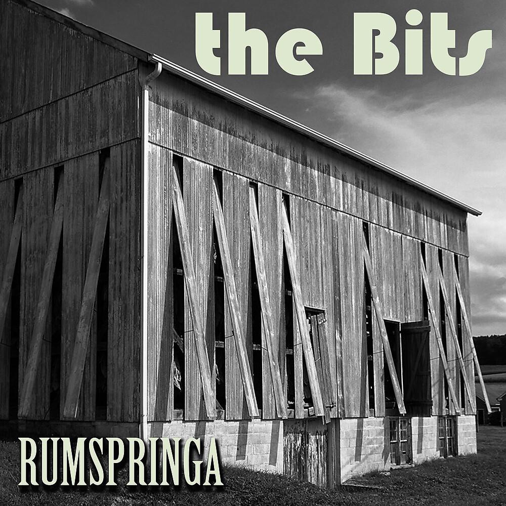Постер альбома Rumspringa