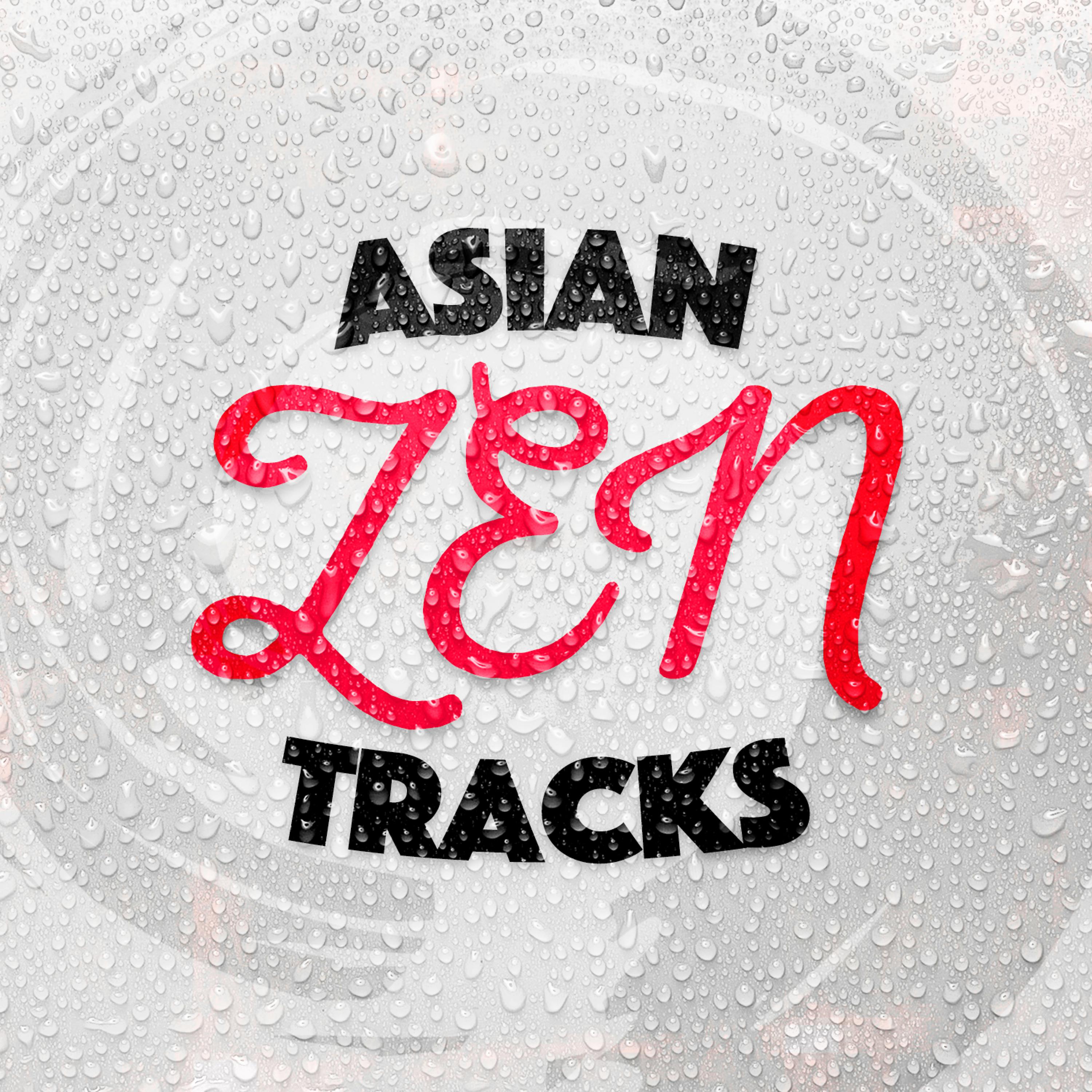 Постер альбома Asian Zen Tracks