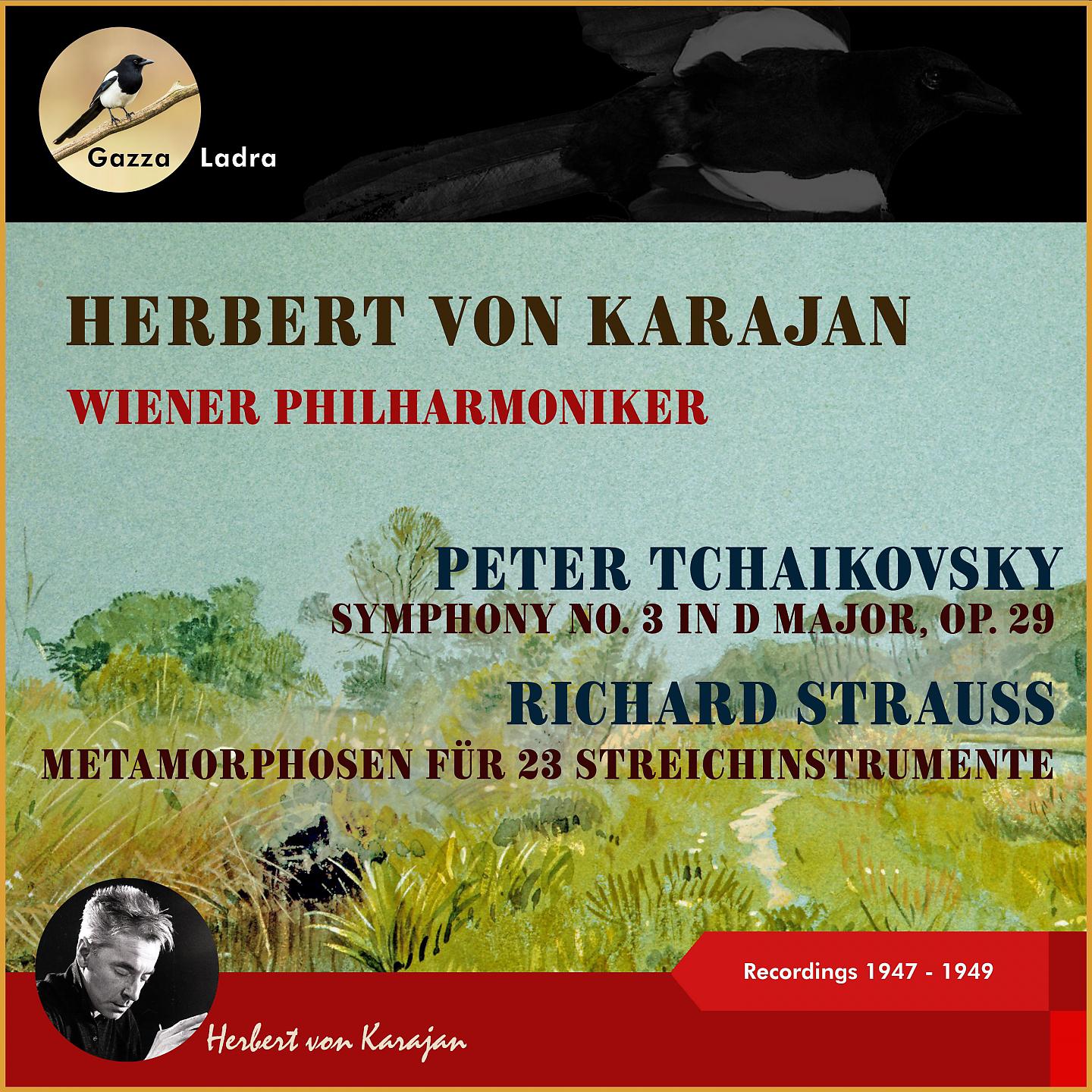 Постер альбома Peter Tchaikovsky: Symphony No. 6 "Pathétique" - Richard Strauss: Metamorphosen
