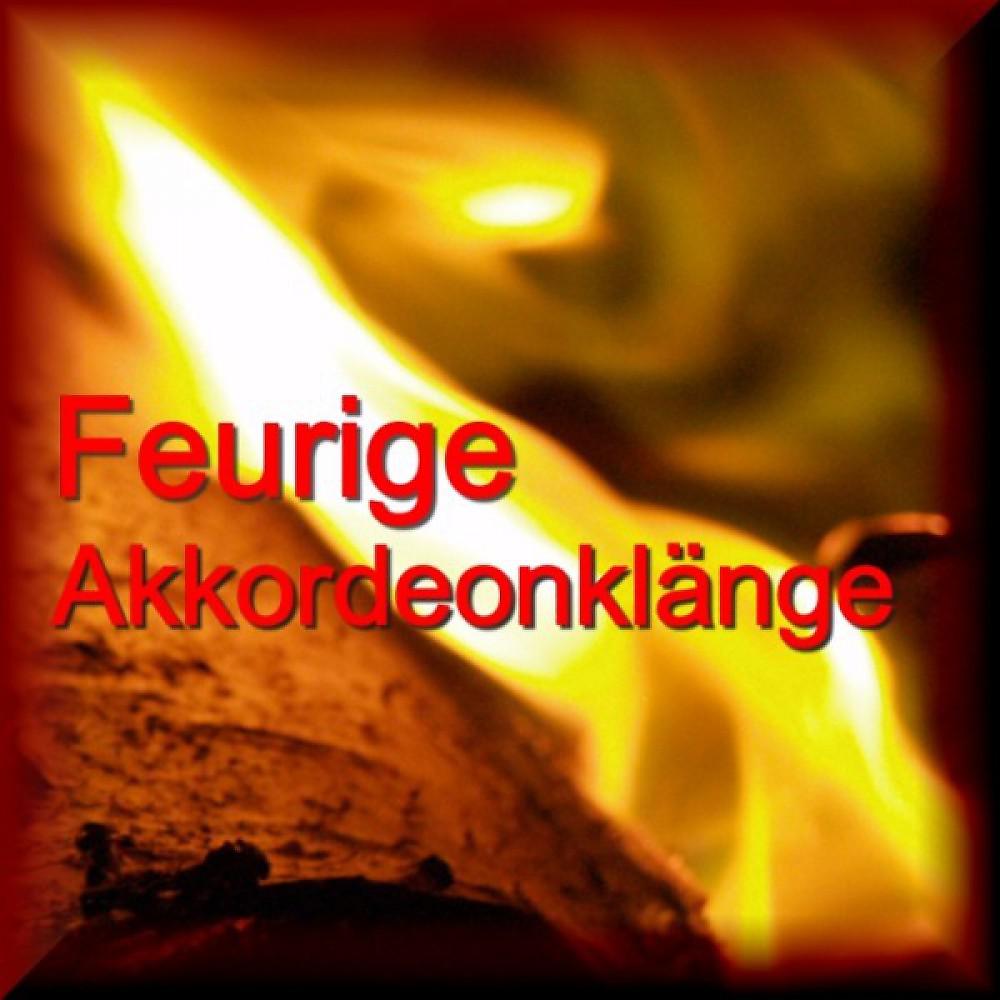 Постер альбома Feurige Akkordeonklänge - Accordeon - Bavaria