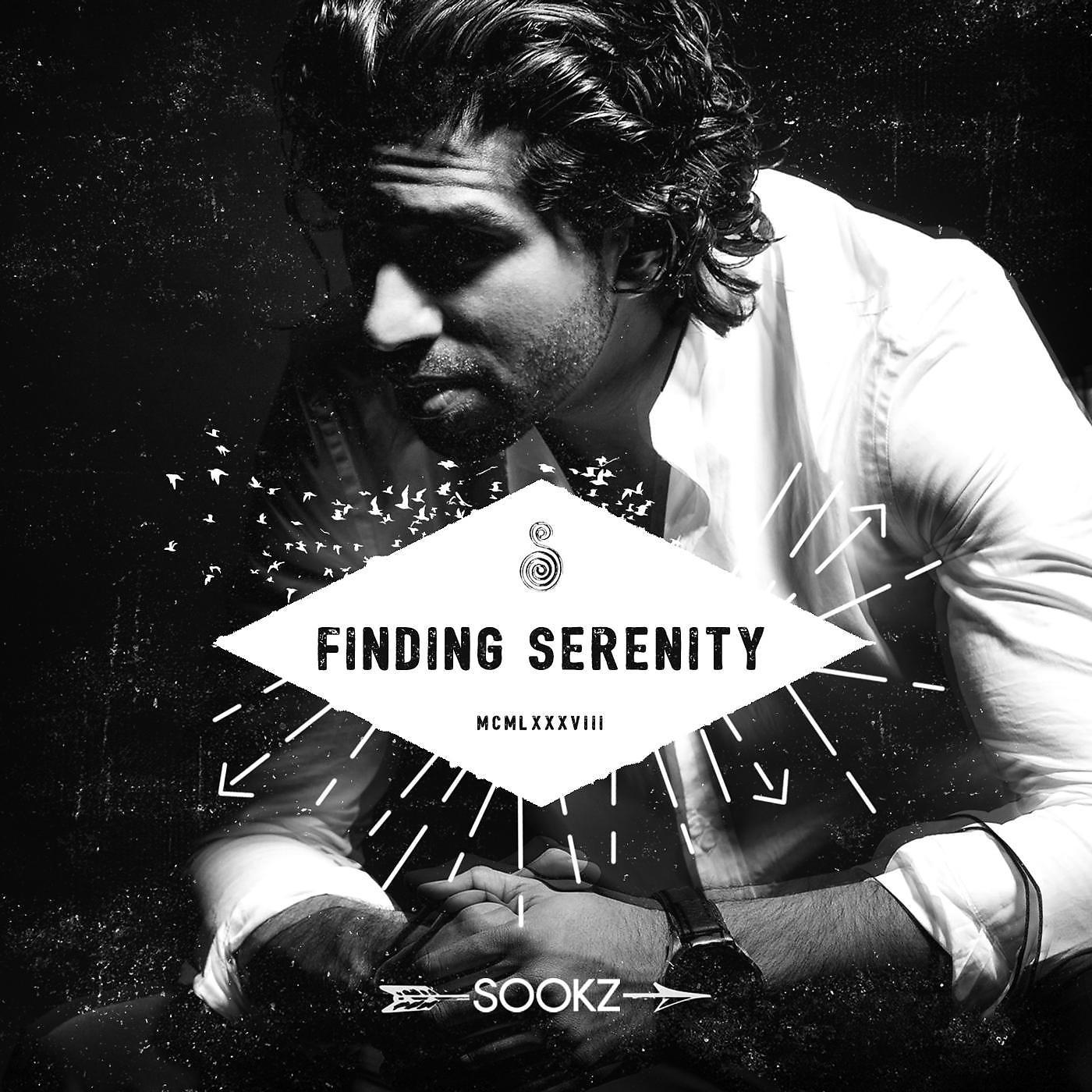 Постер альбома Finding Serenity