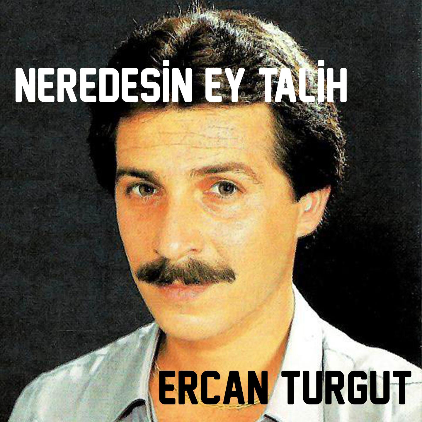 Постер альбома Neredesin Ey Talih