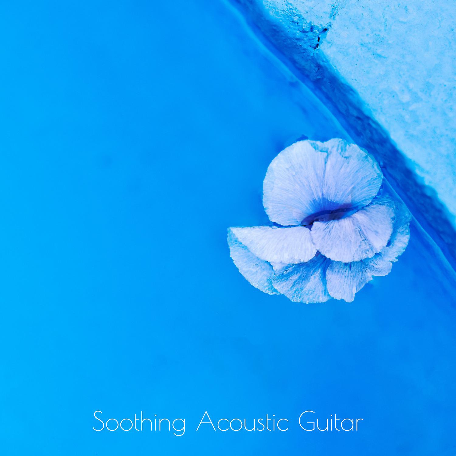 Постер альбома Soothing Acoustic Guitar