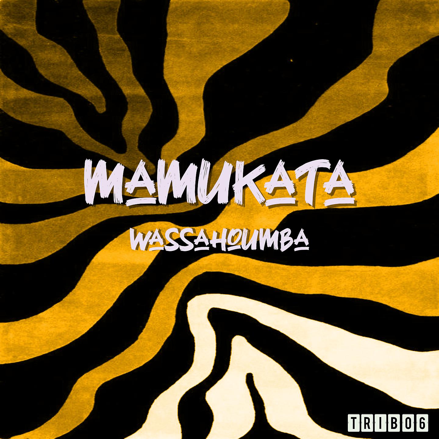 Постер альбома Wassahoumba