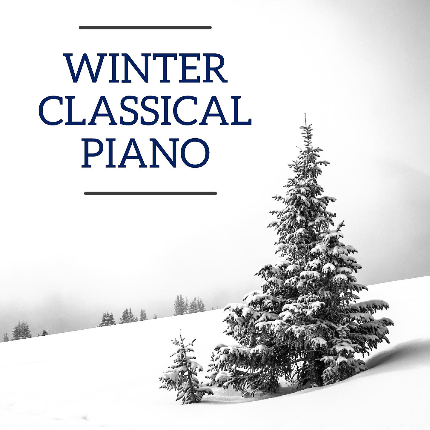 Постер альбома Winter Classical Piano