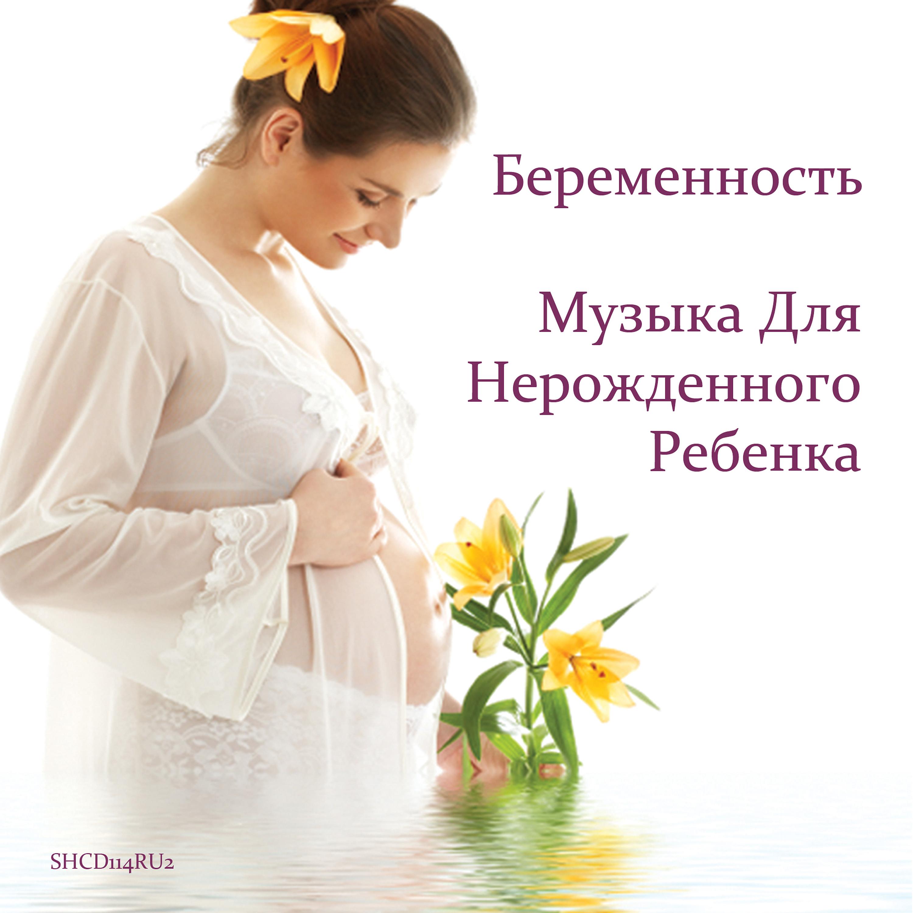 Постер альбома Беременность ♫ Музыка Для Нерожденного Ребенка