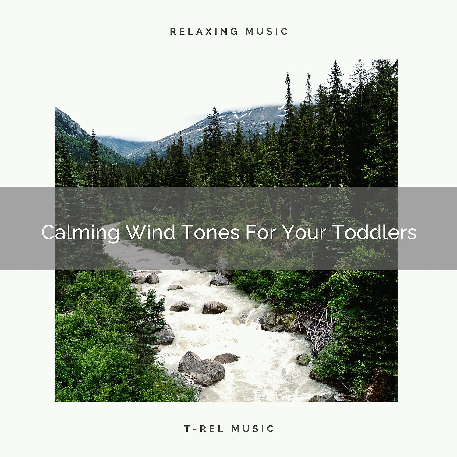 Постер альбома Calming Wind Tones For Your Toddlers