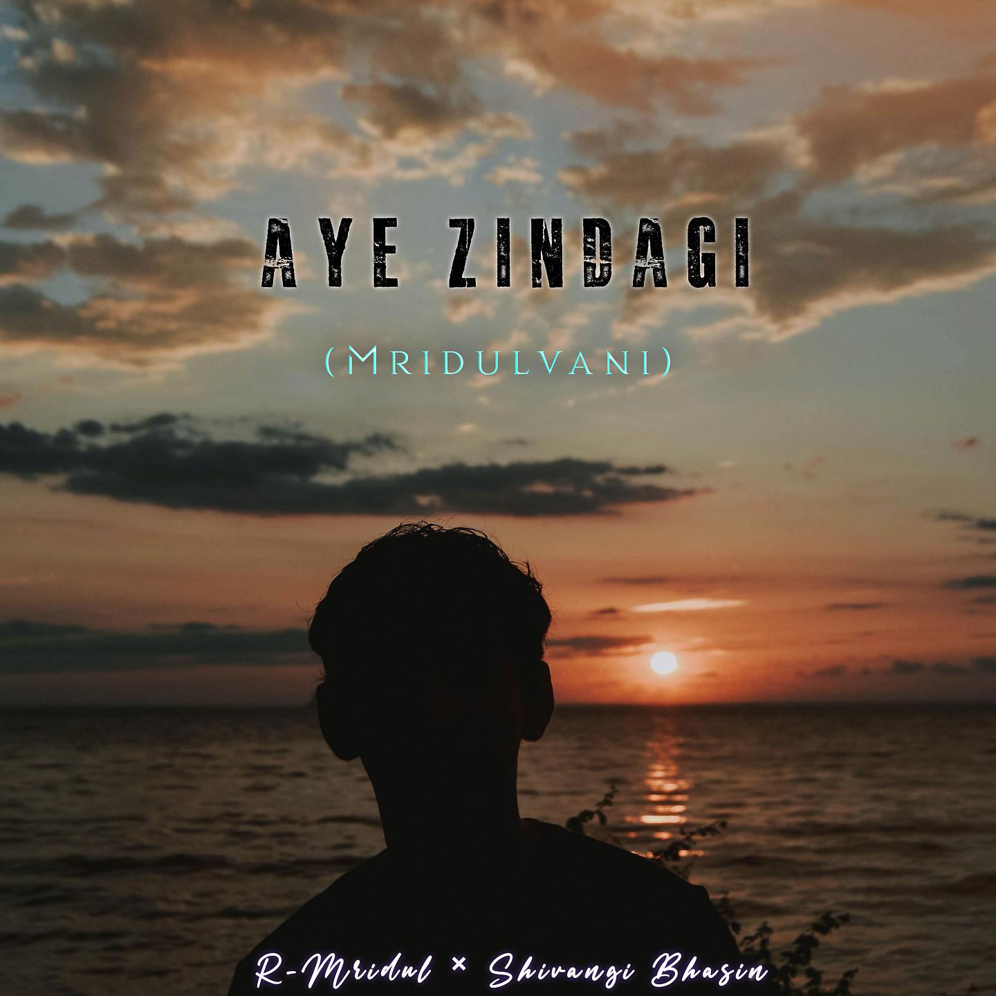 Постер альбома Aye Zindagi (MridulVani)