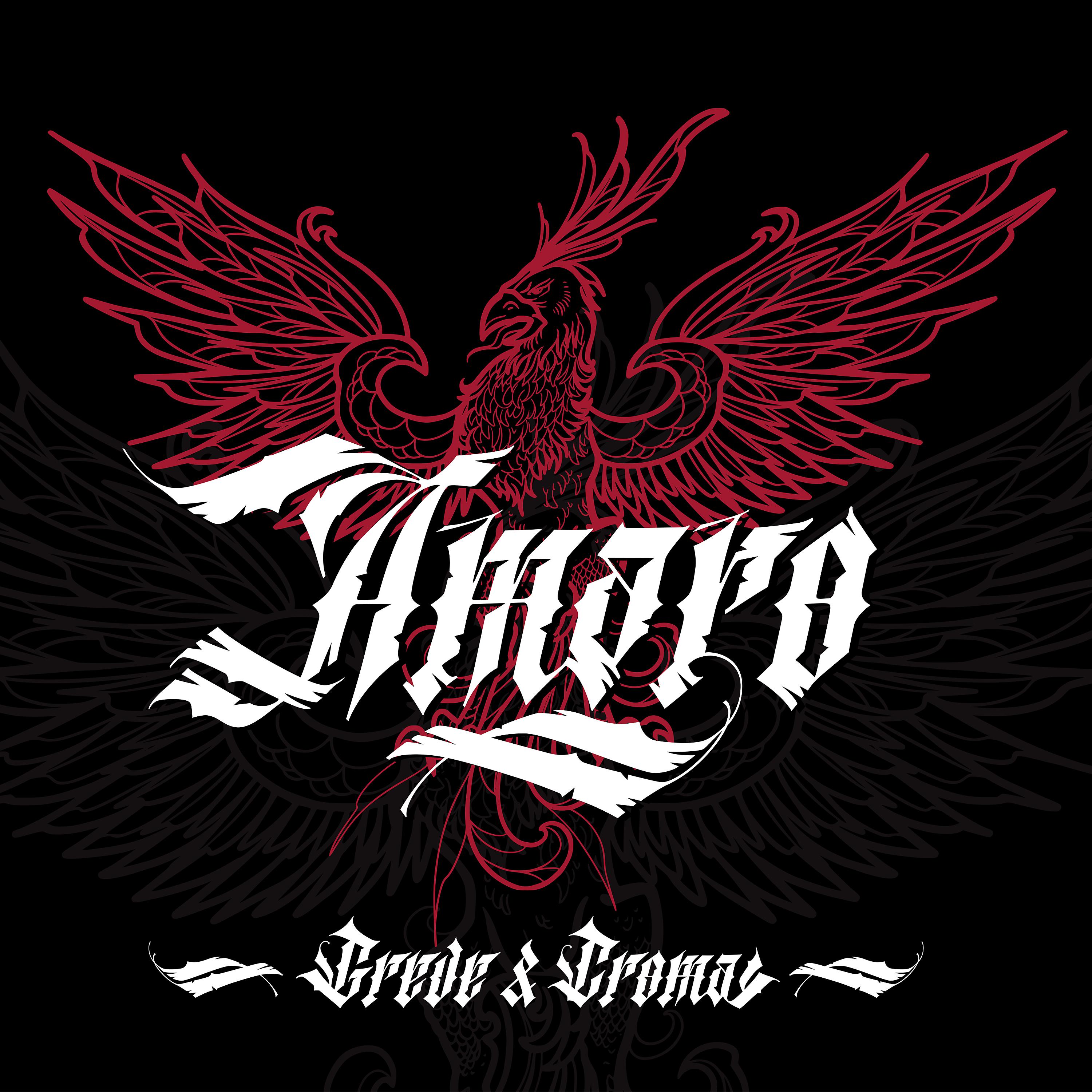 Постер альбома Amaro