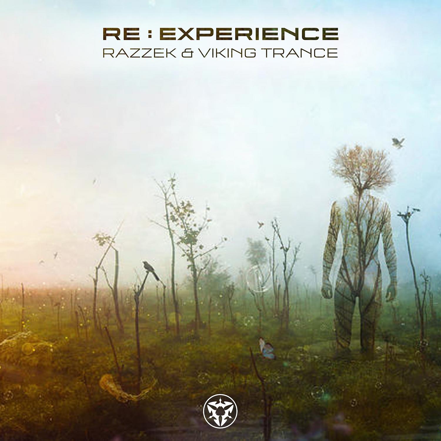 Постер альбома Re : Experience
