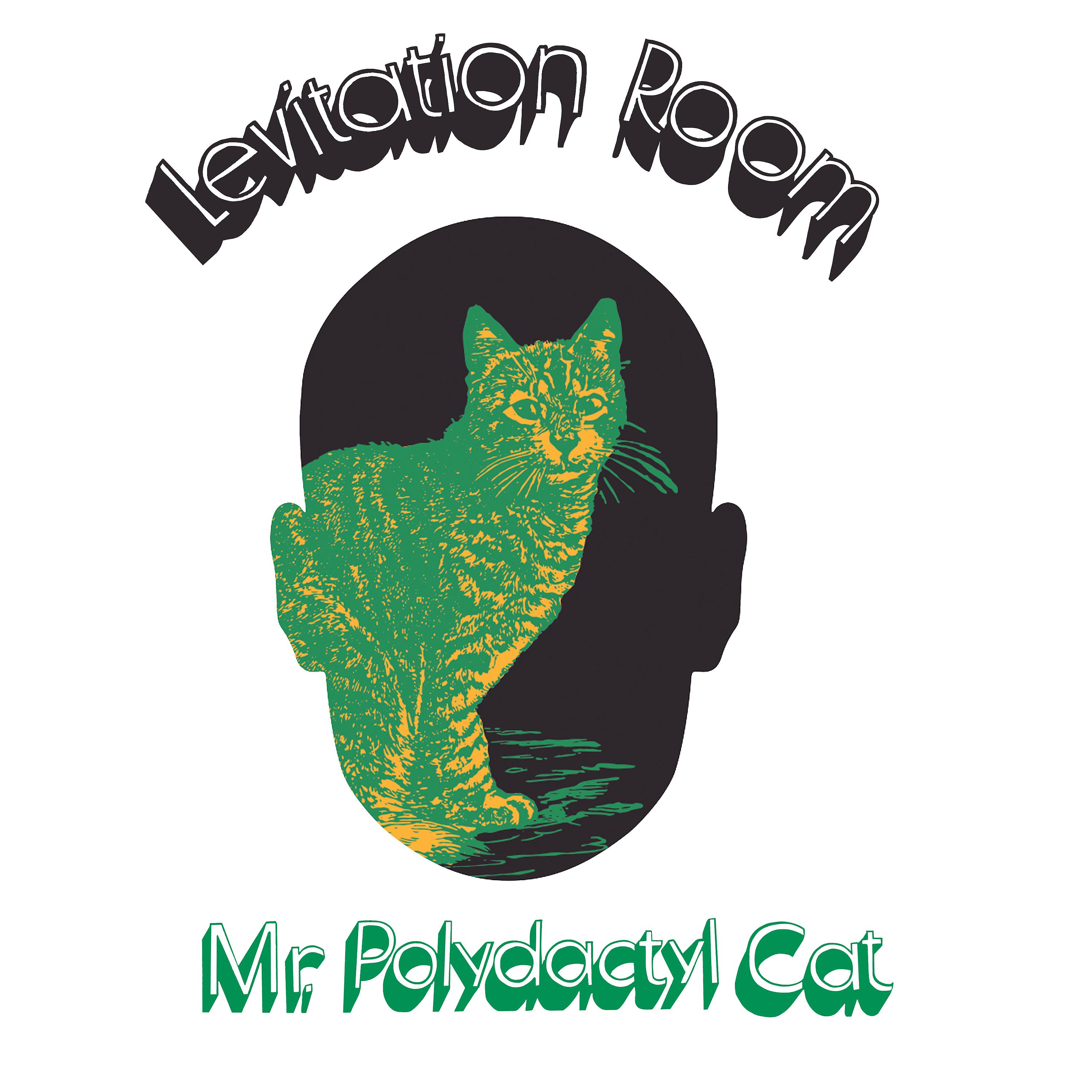 Постер альбома Mr. Polydactyl Cat