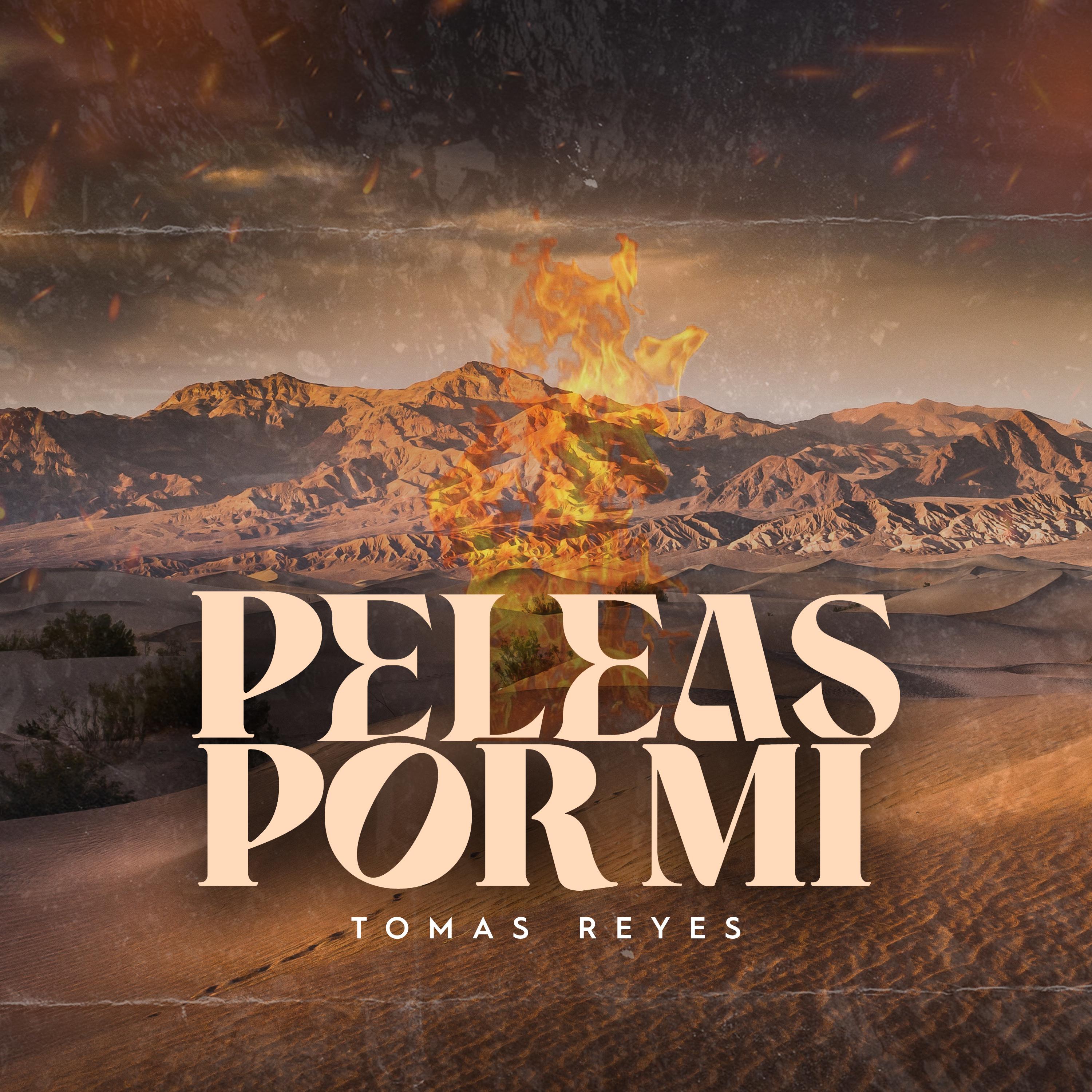 Постер альбома Peleas por Mi