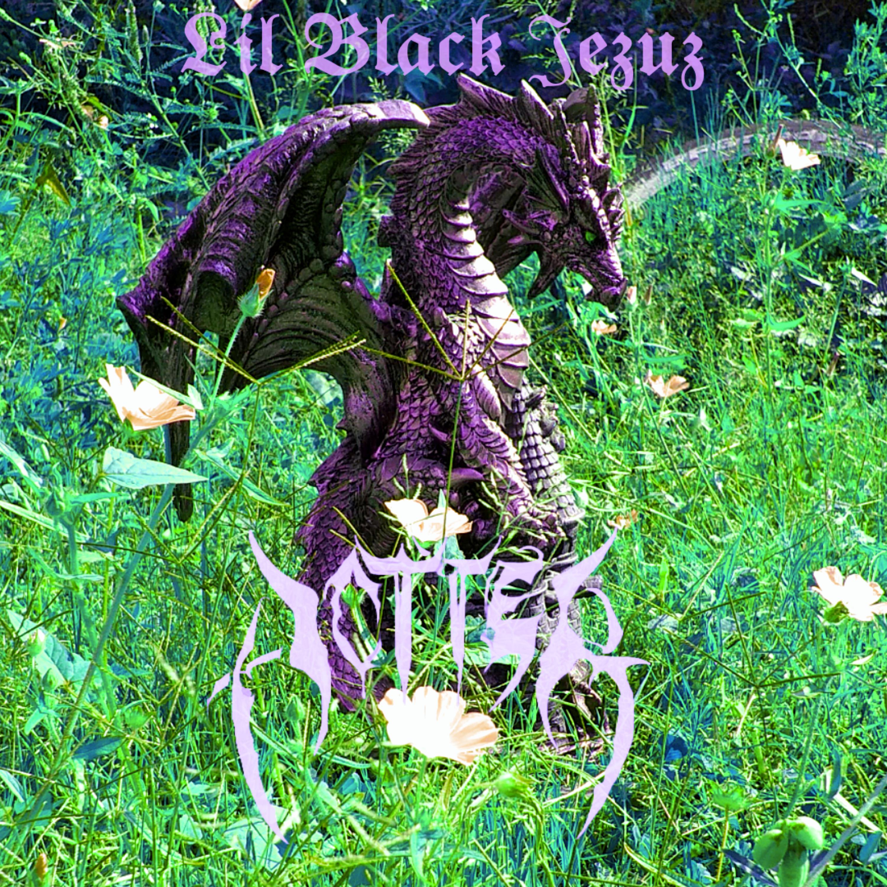 Постер альбома Lil Black Jezuz