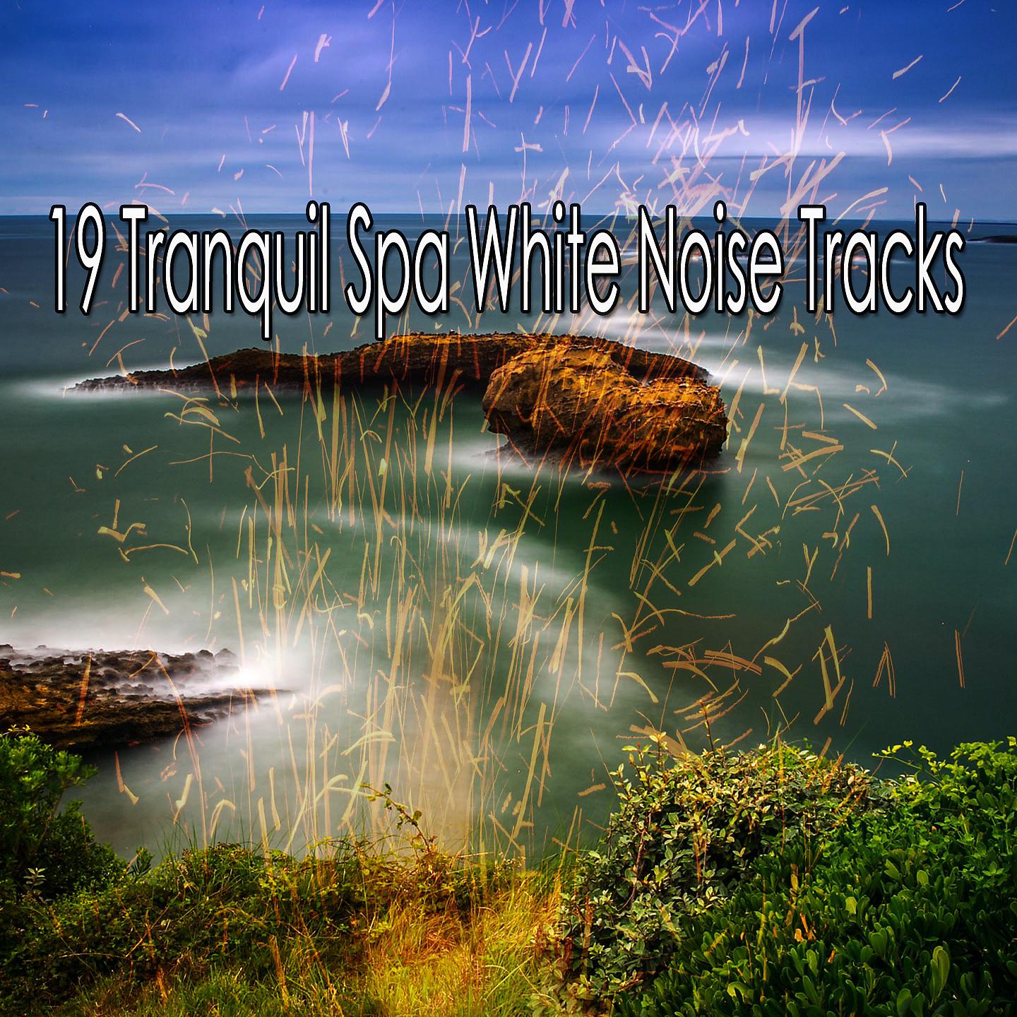 Постер альбома 19 треков белого шума Tranquil Spa